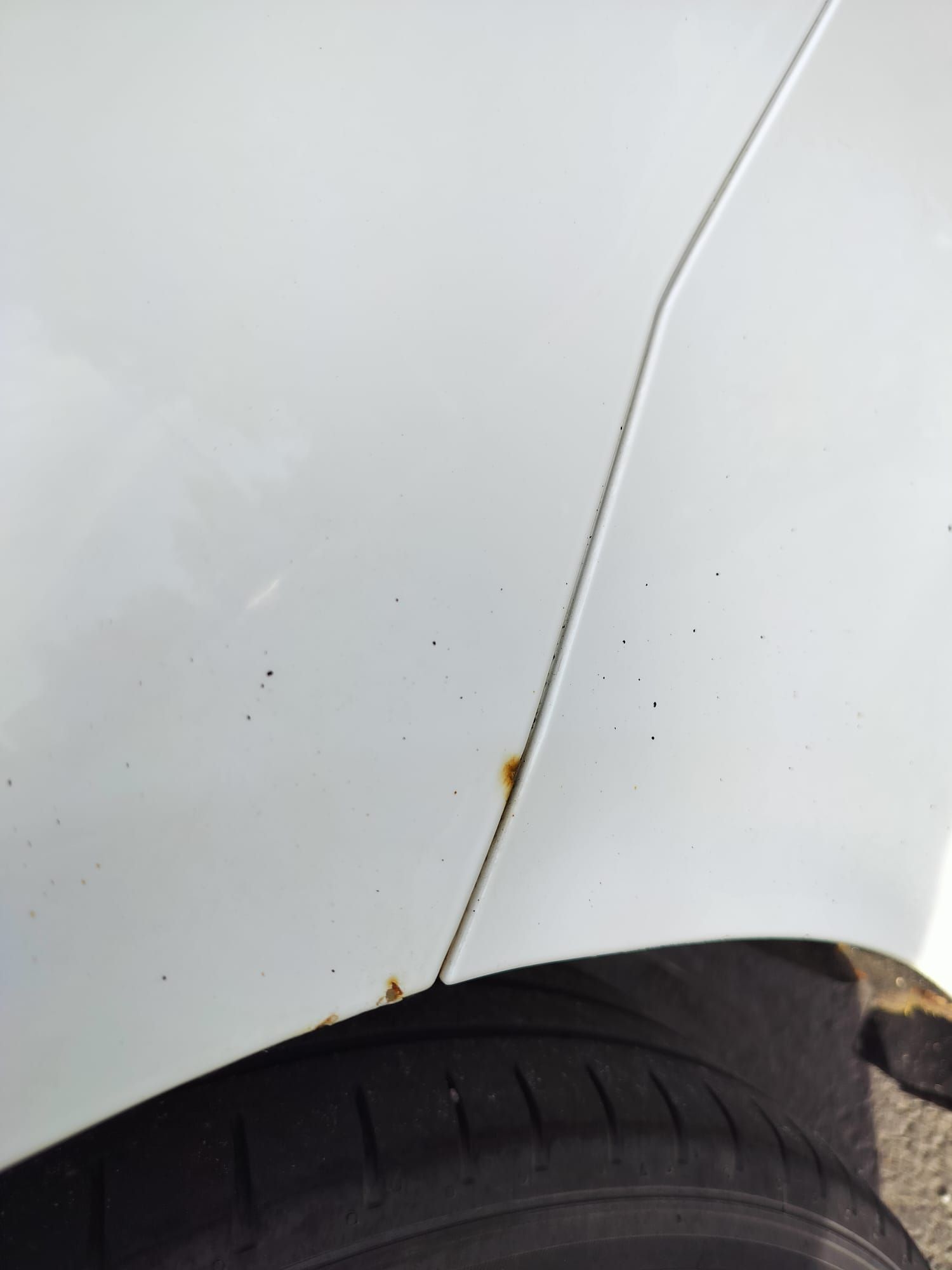 Image 11/38