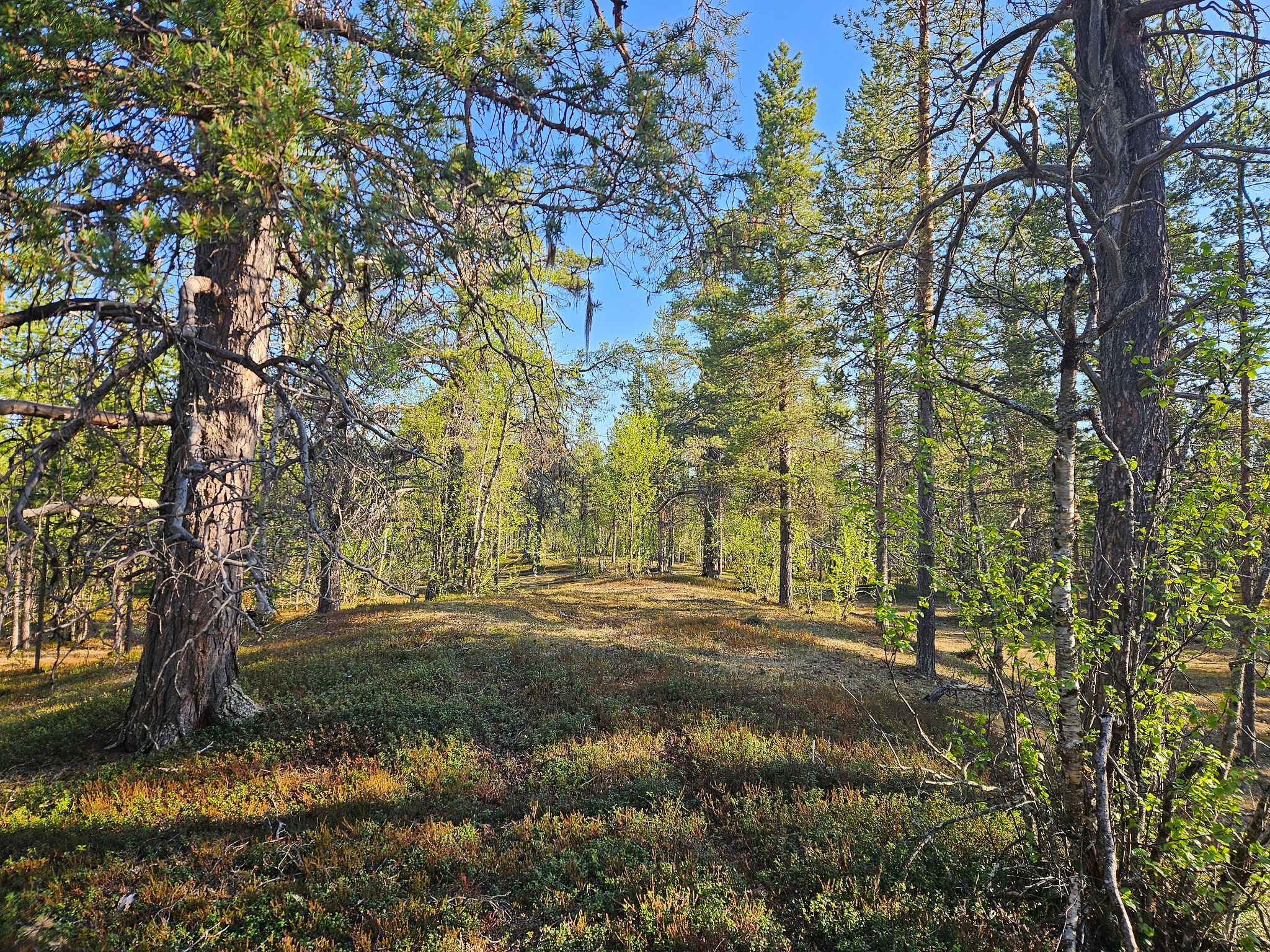 Image 12/13