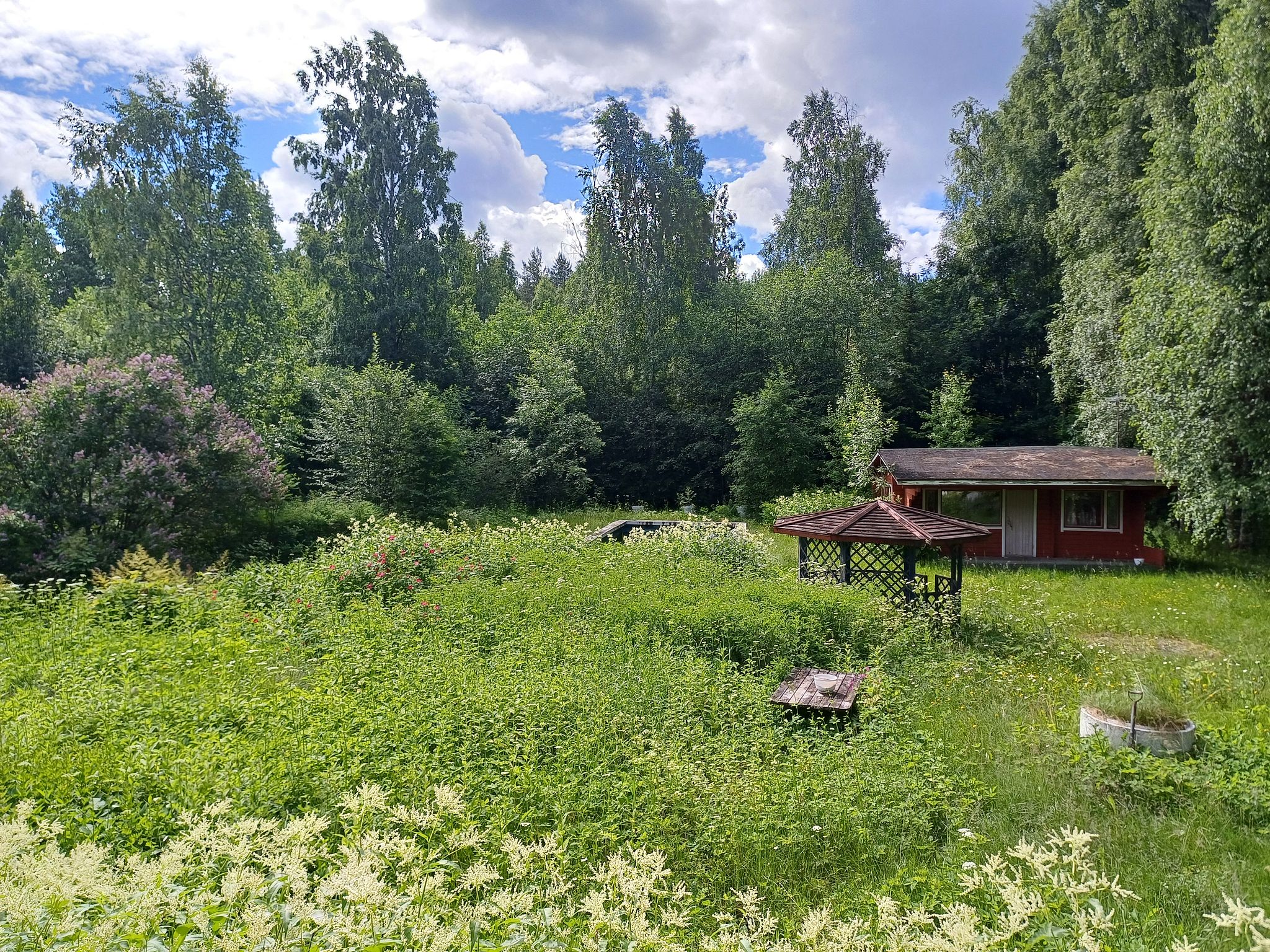 Image 12/45