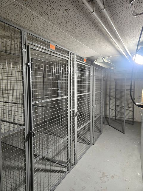 Image 4/4