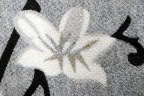 Image 2/6