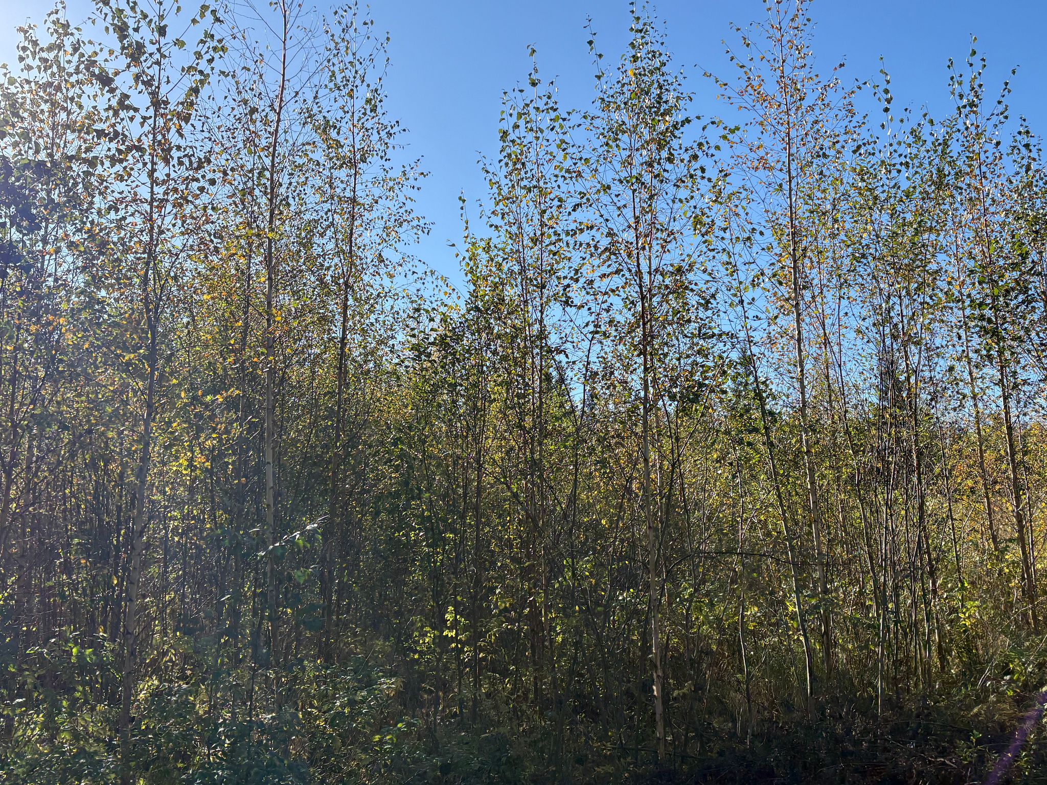Image 7/30