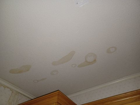 Image 47/100