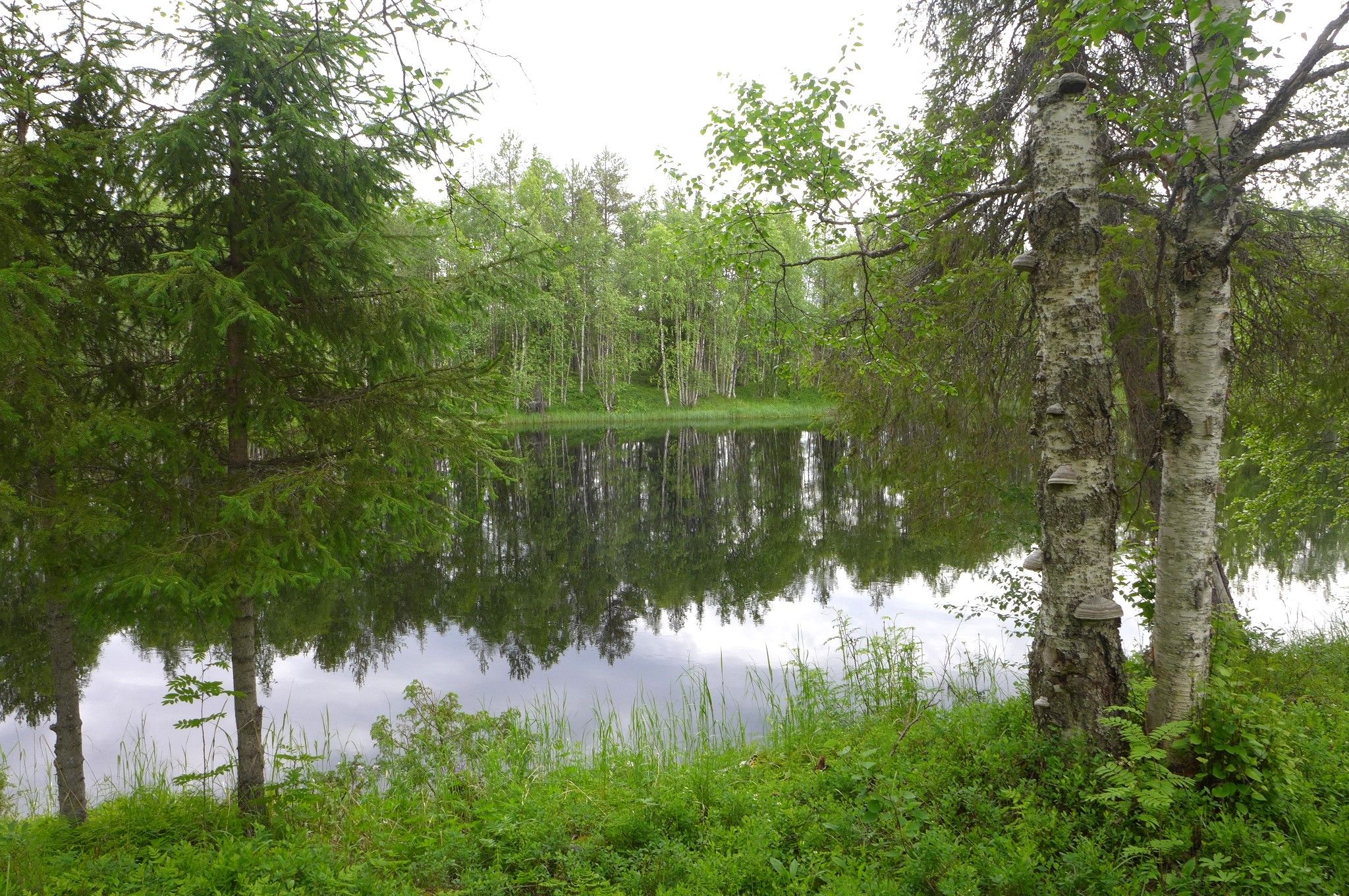 Image 40/51