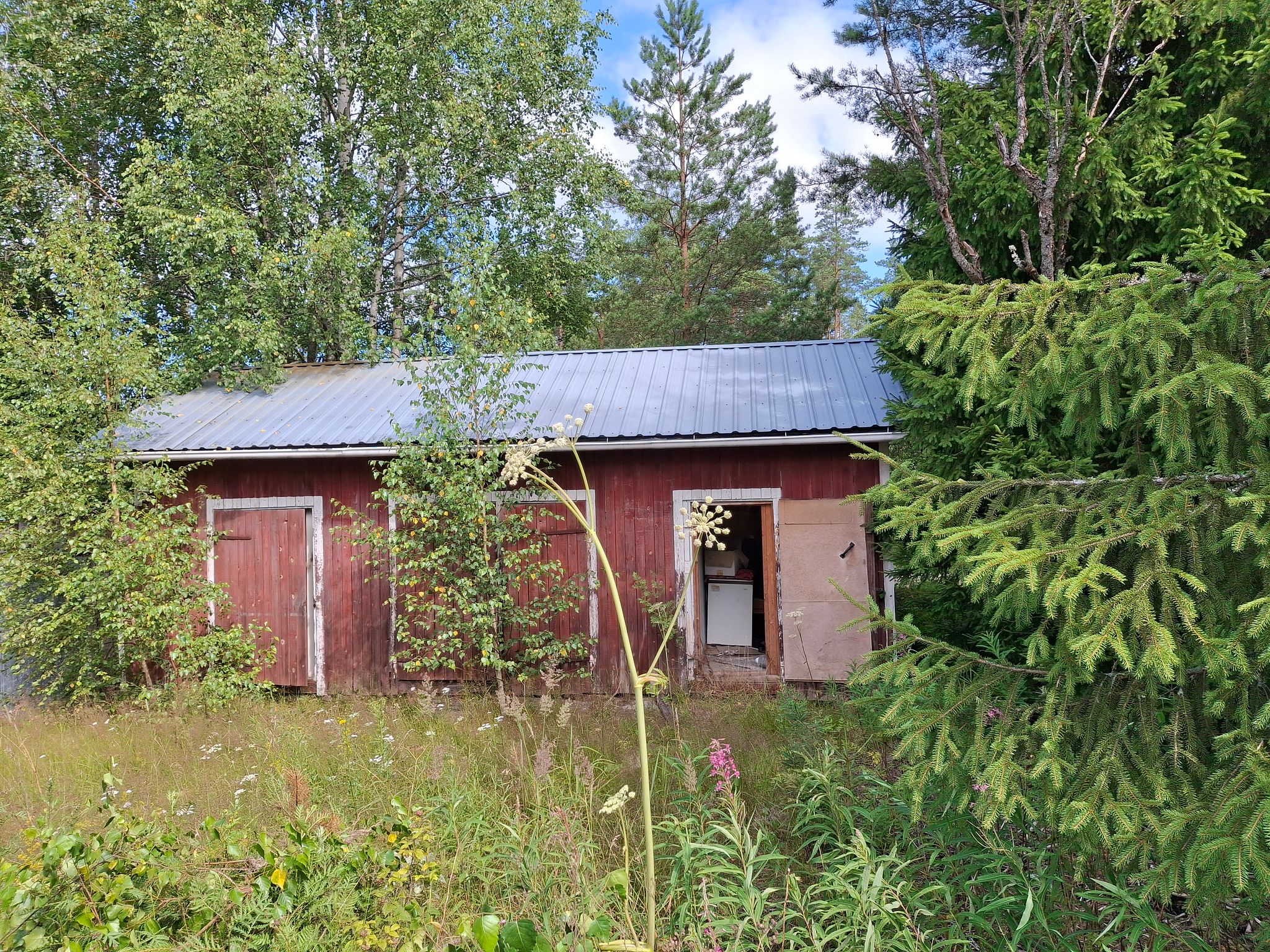 Image 8/49