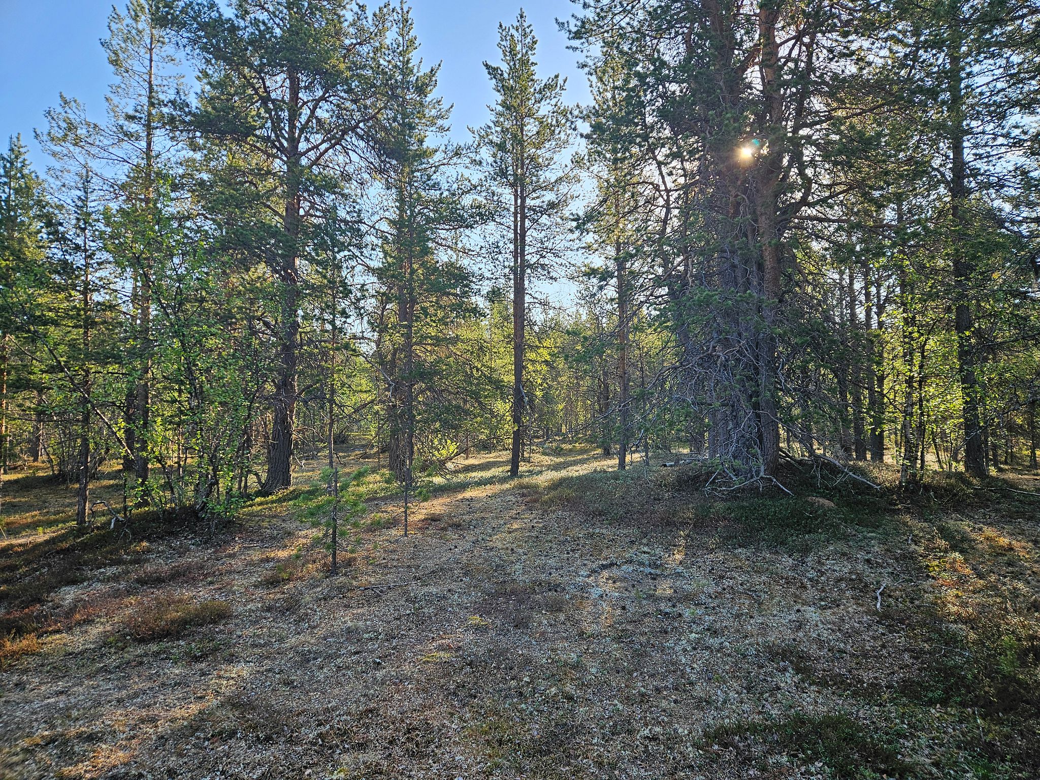 Image 8/13