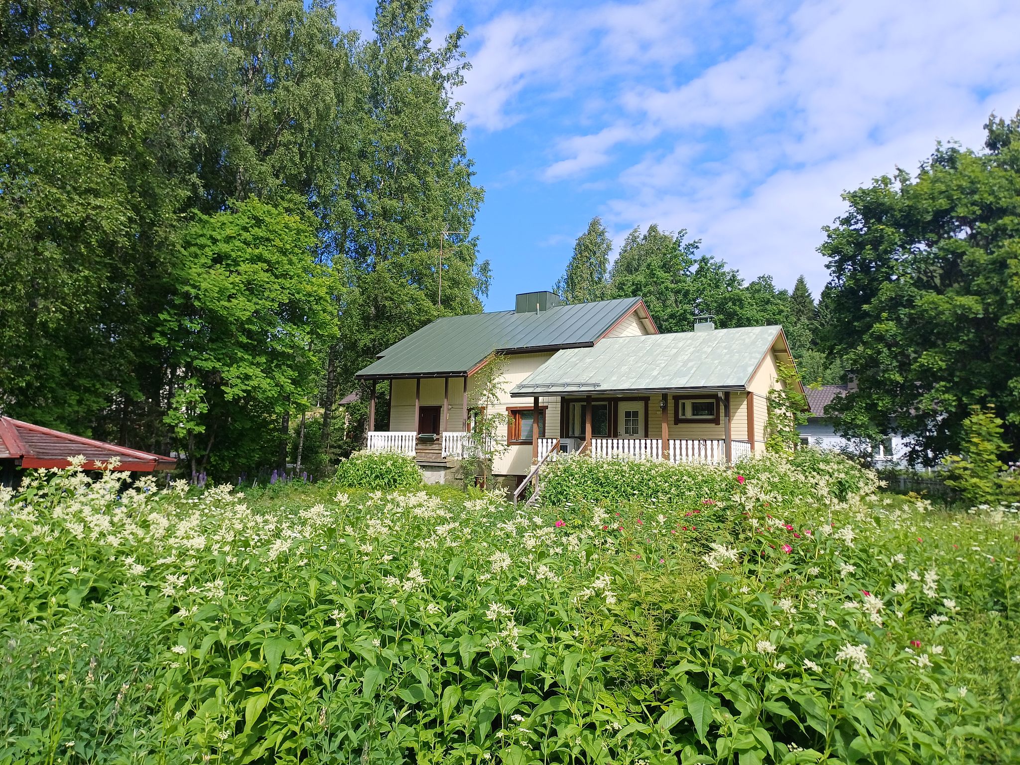 Image 1/45