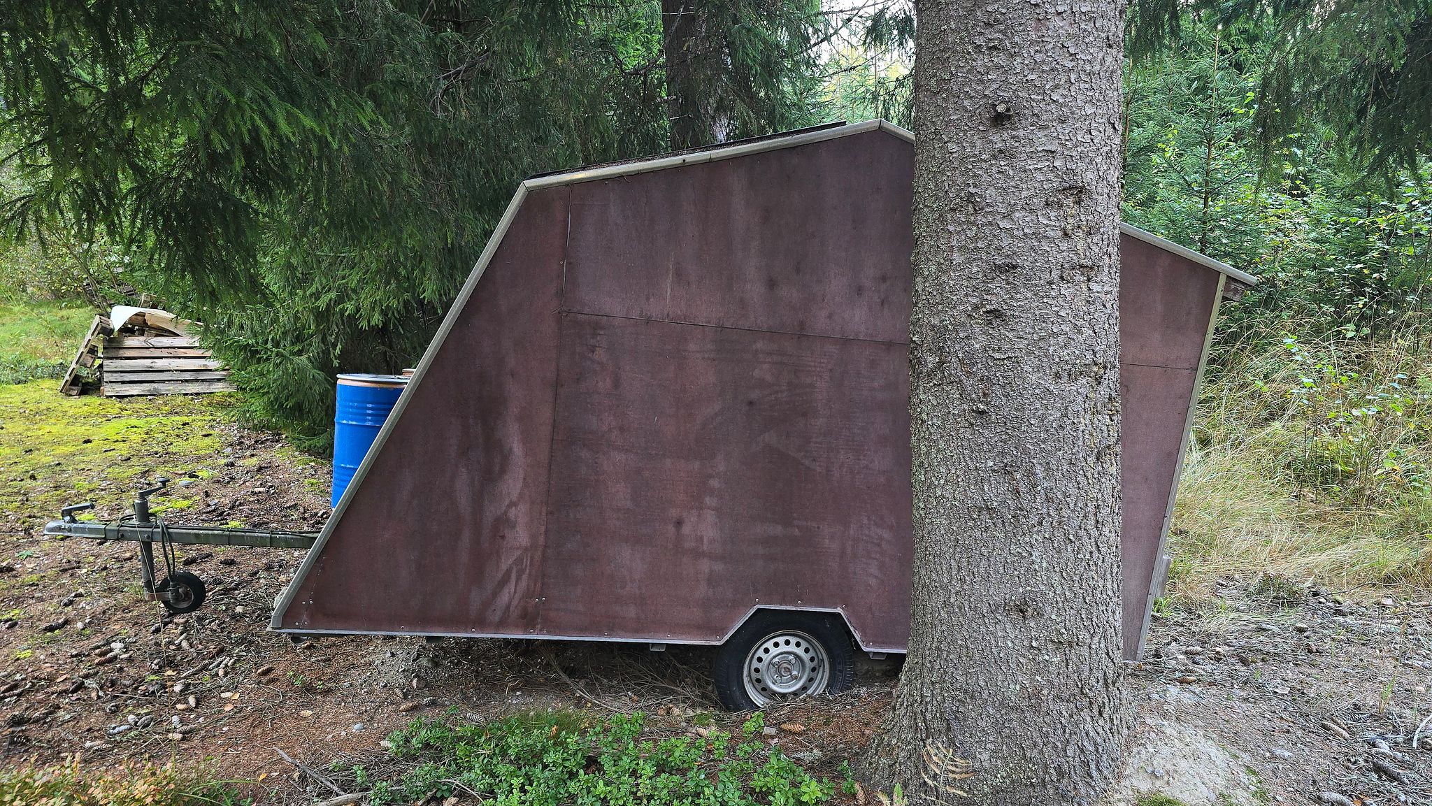 Image 11/61