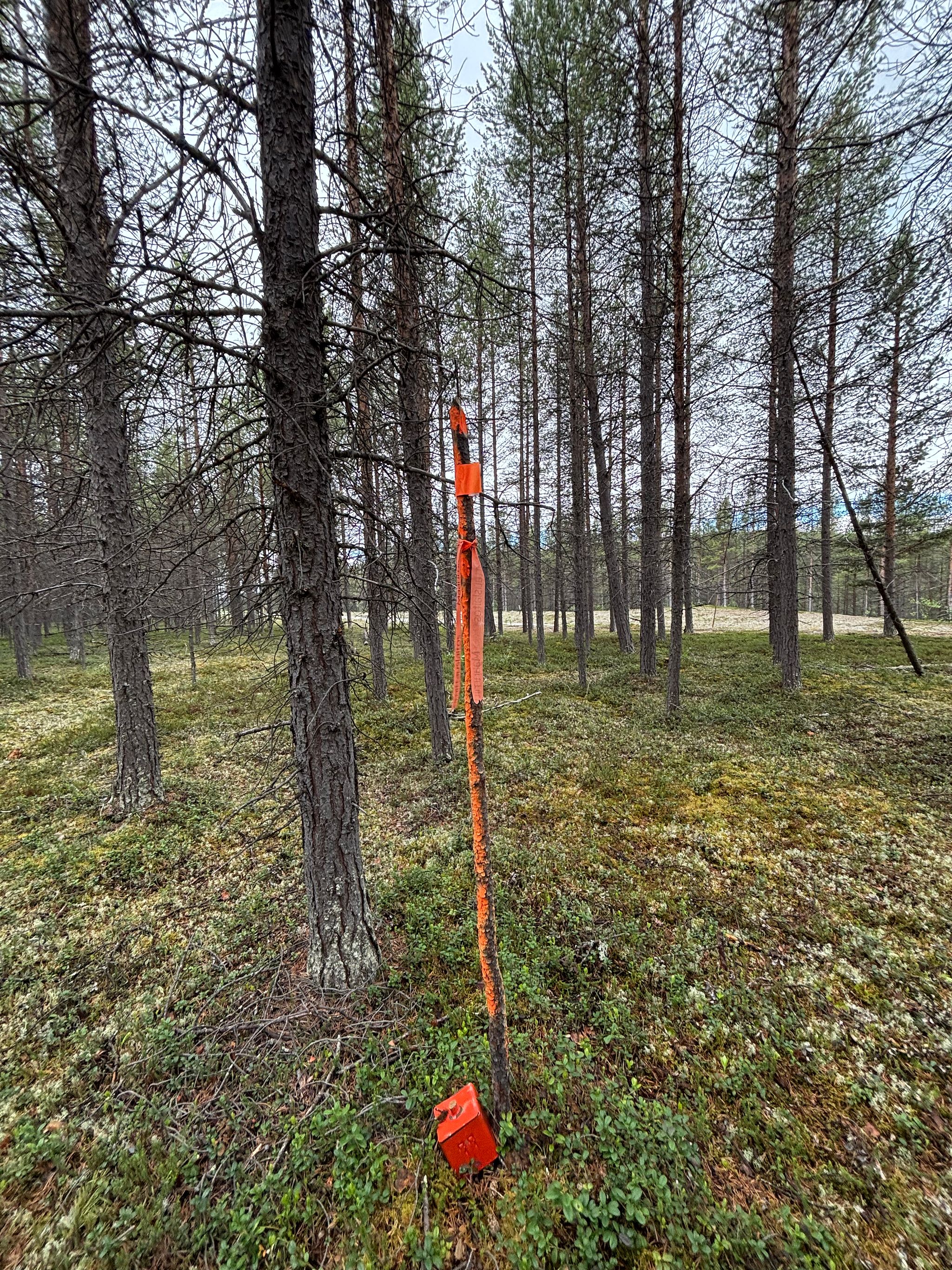 Image 4/12