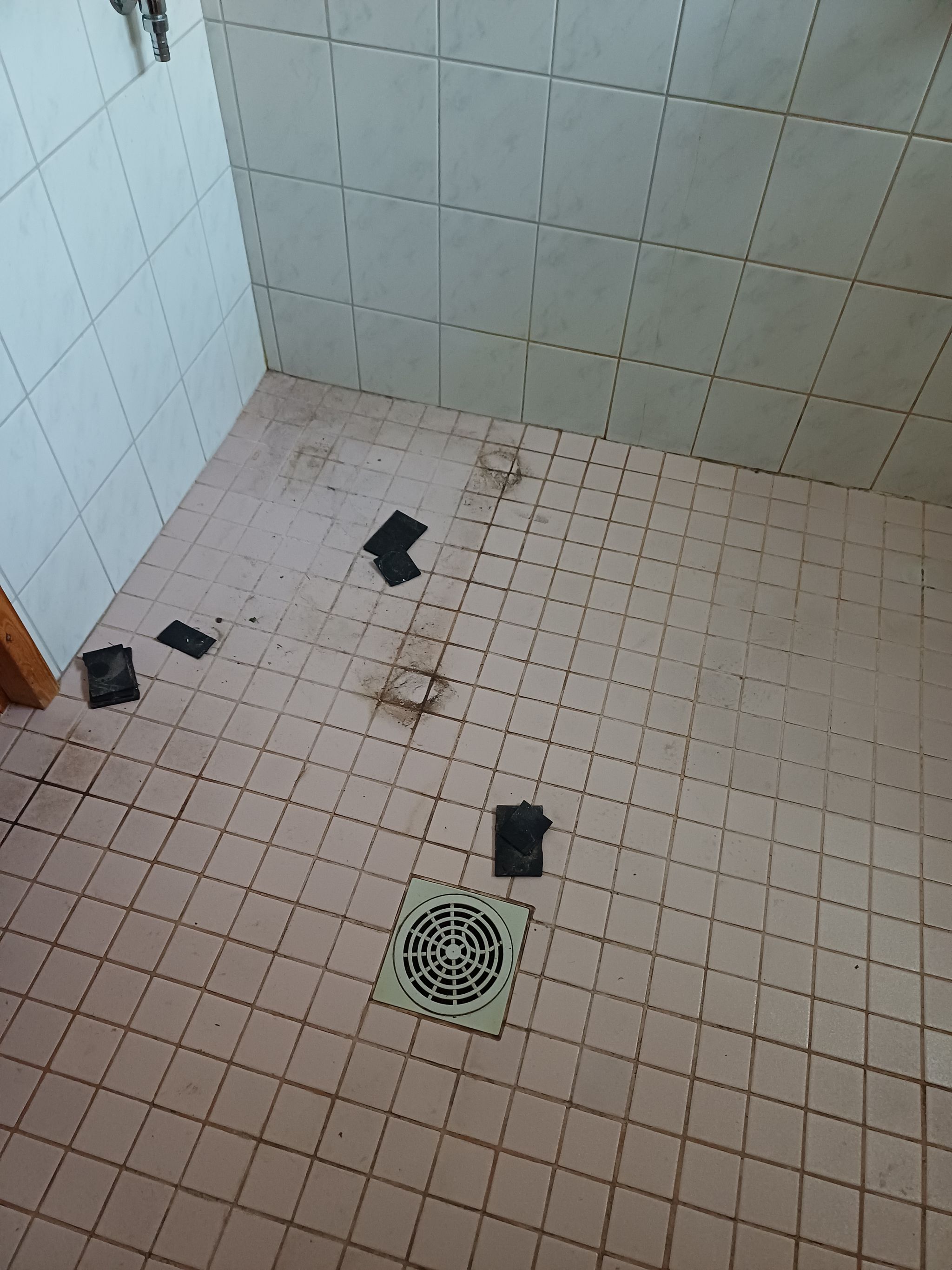 Image 43/53