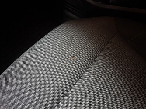 Image 24/38