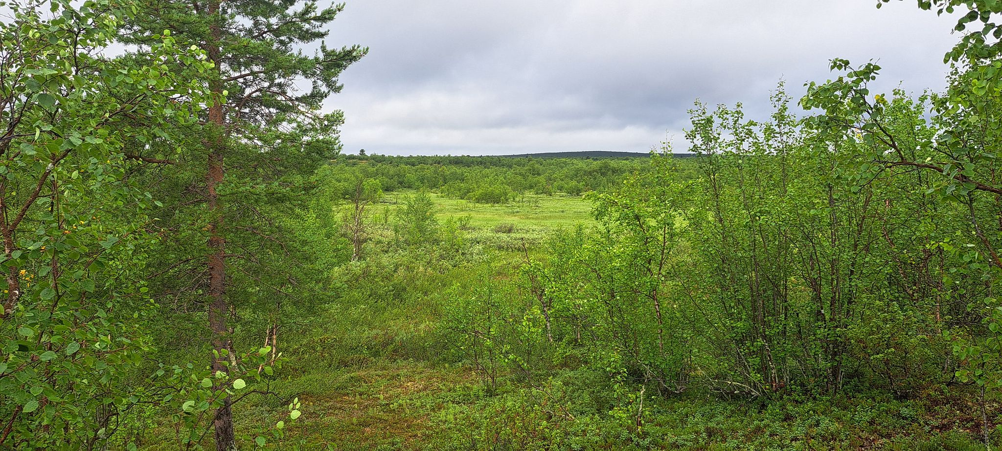 Image 12/18