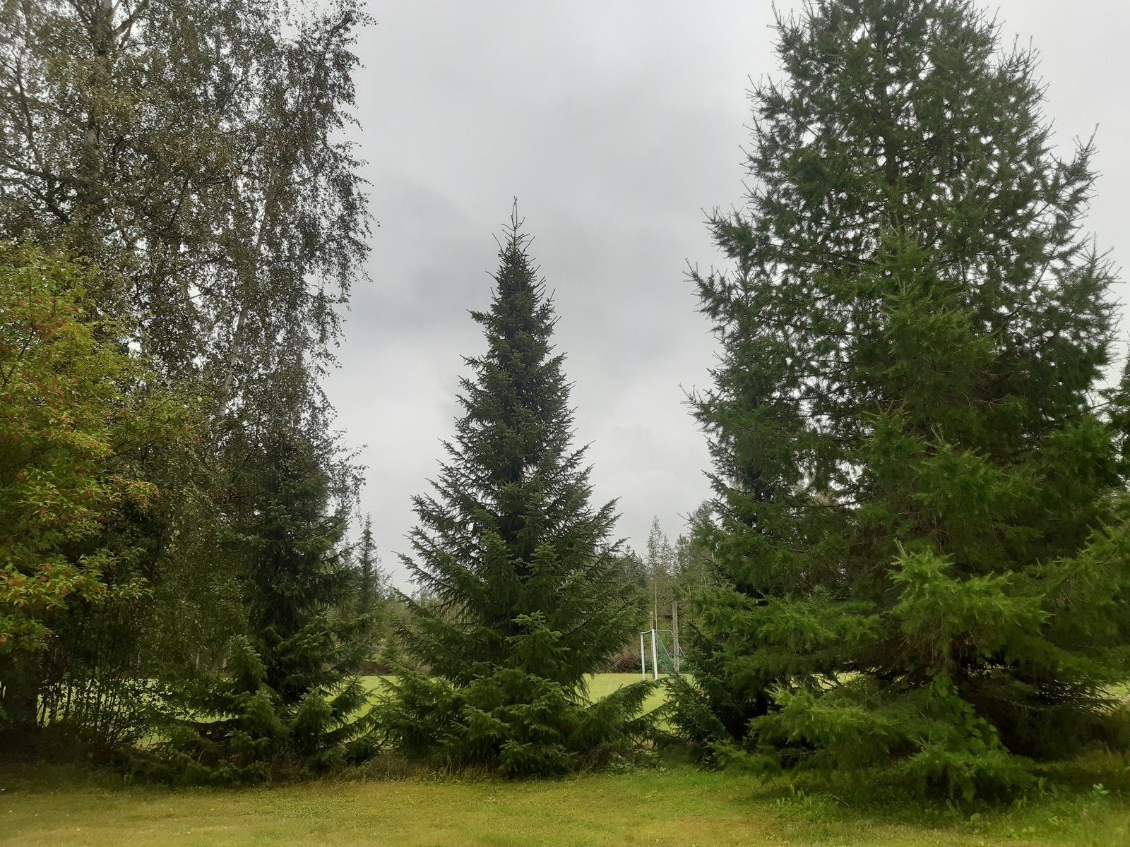 Image 26/50