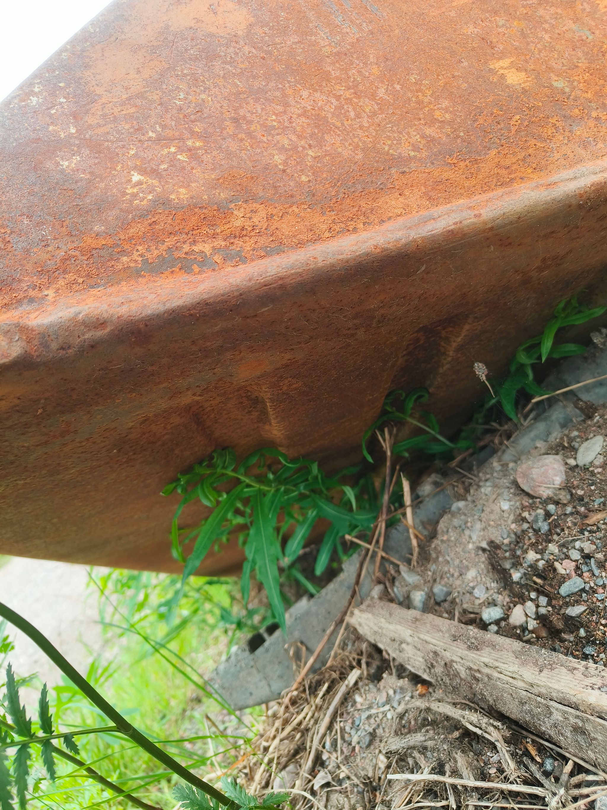 Image 4/4