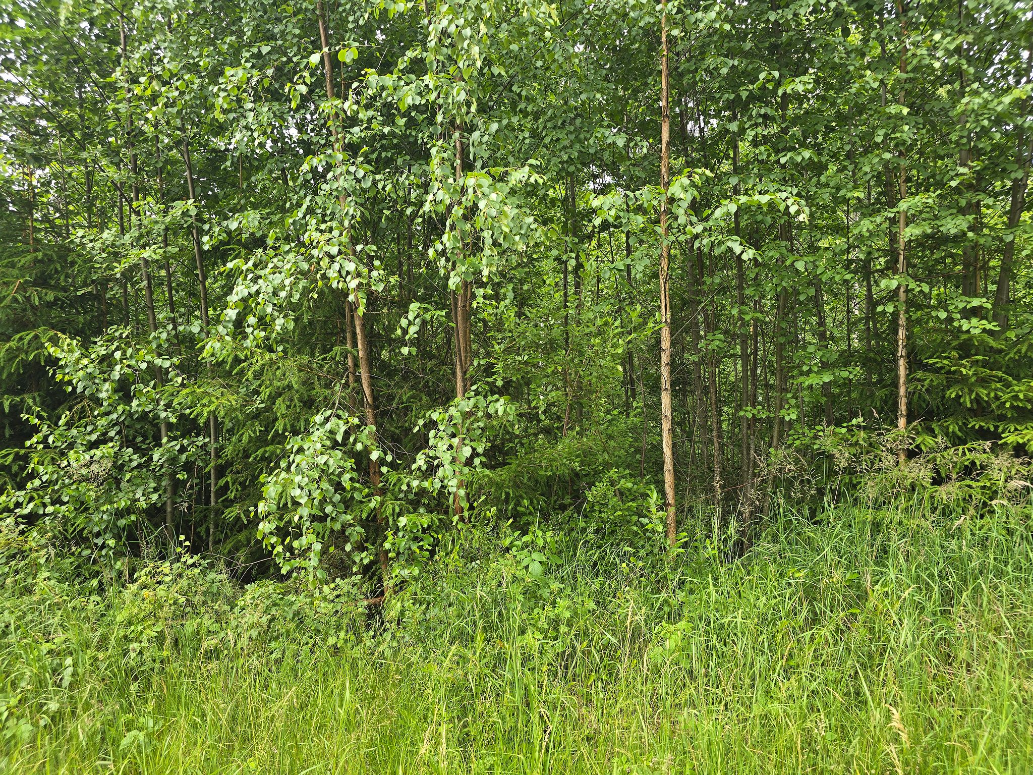 Image 13/20