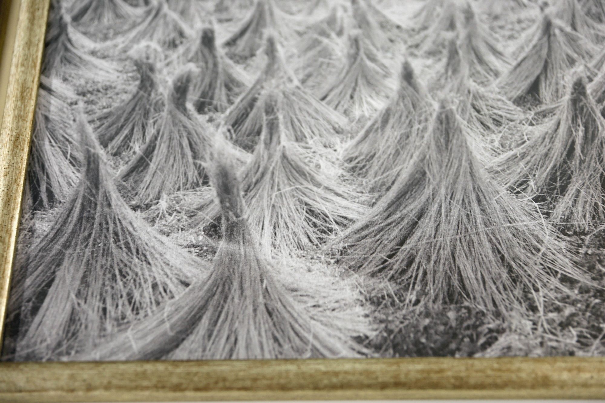 Image 25/30