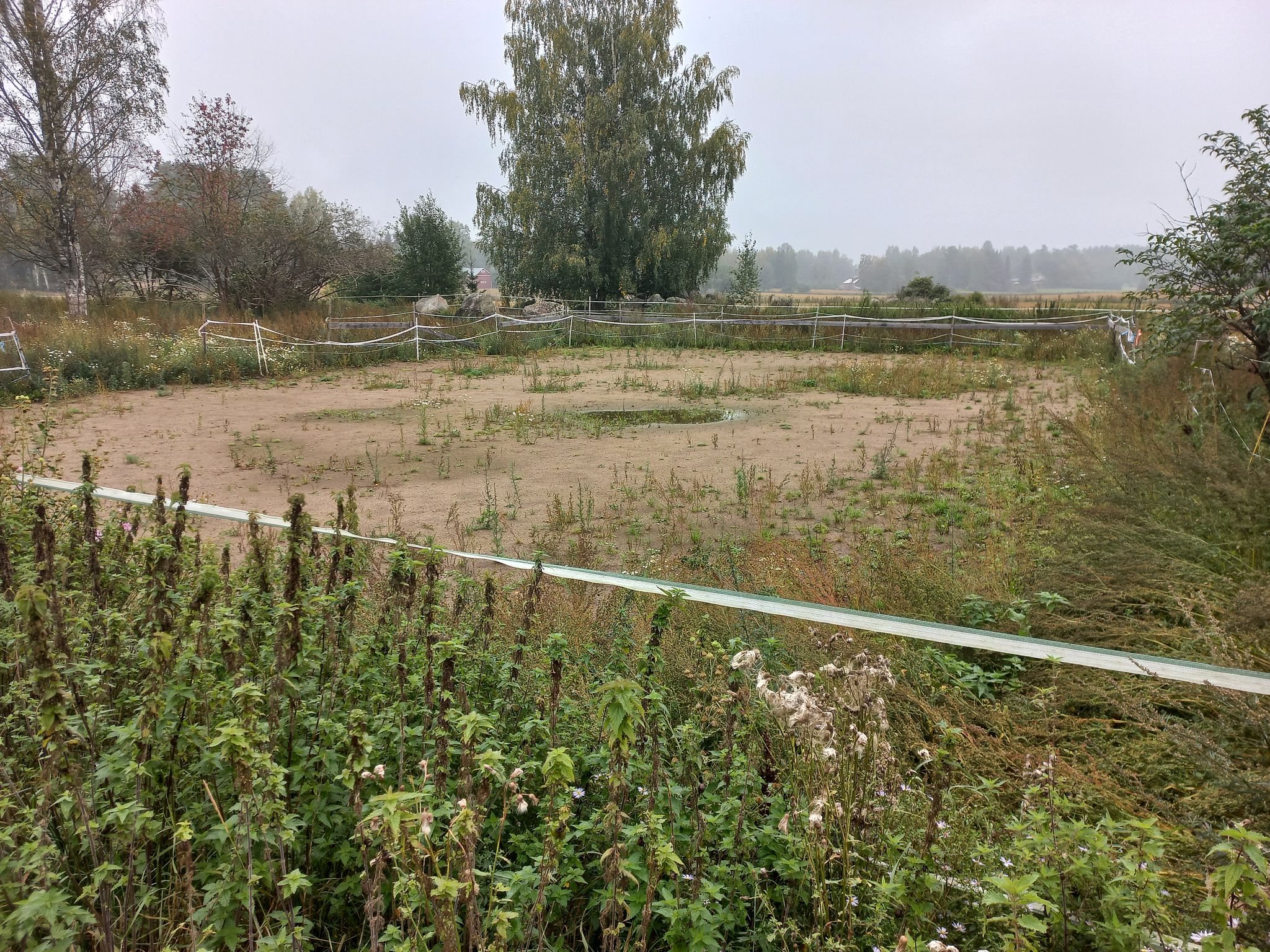 Image 49/57