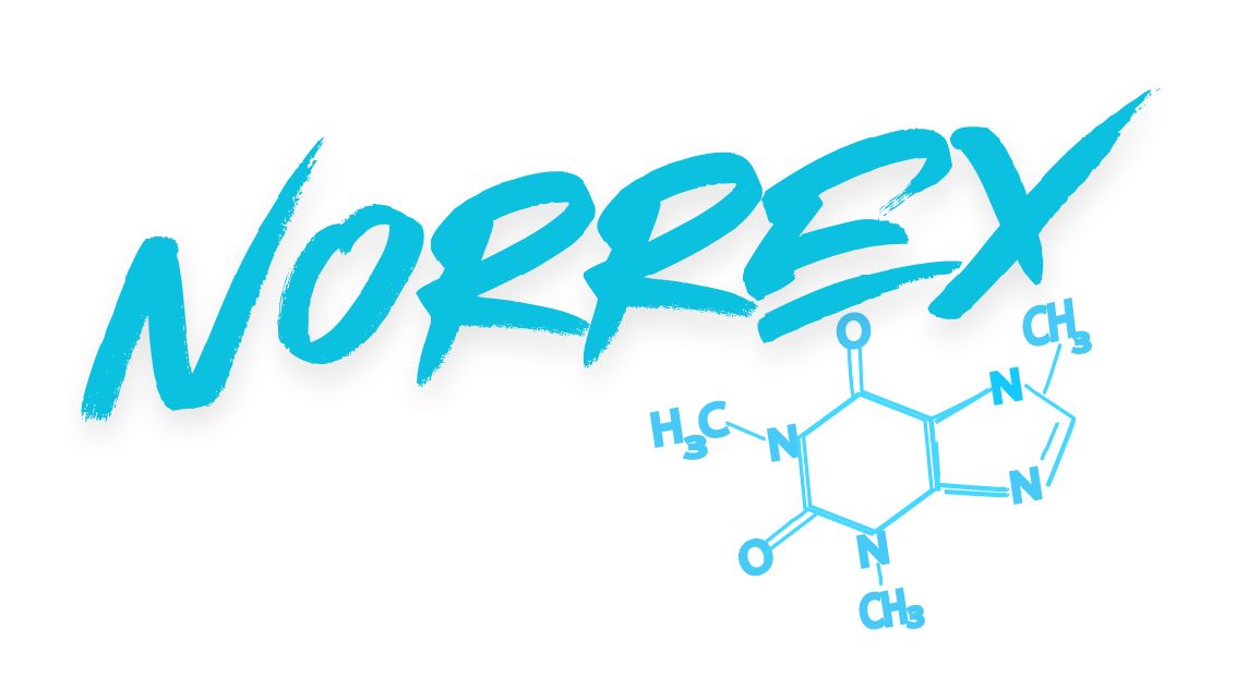 Oy Norrex Ab logo