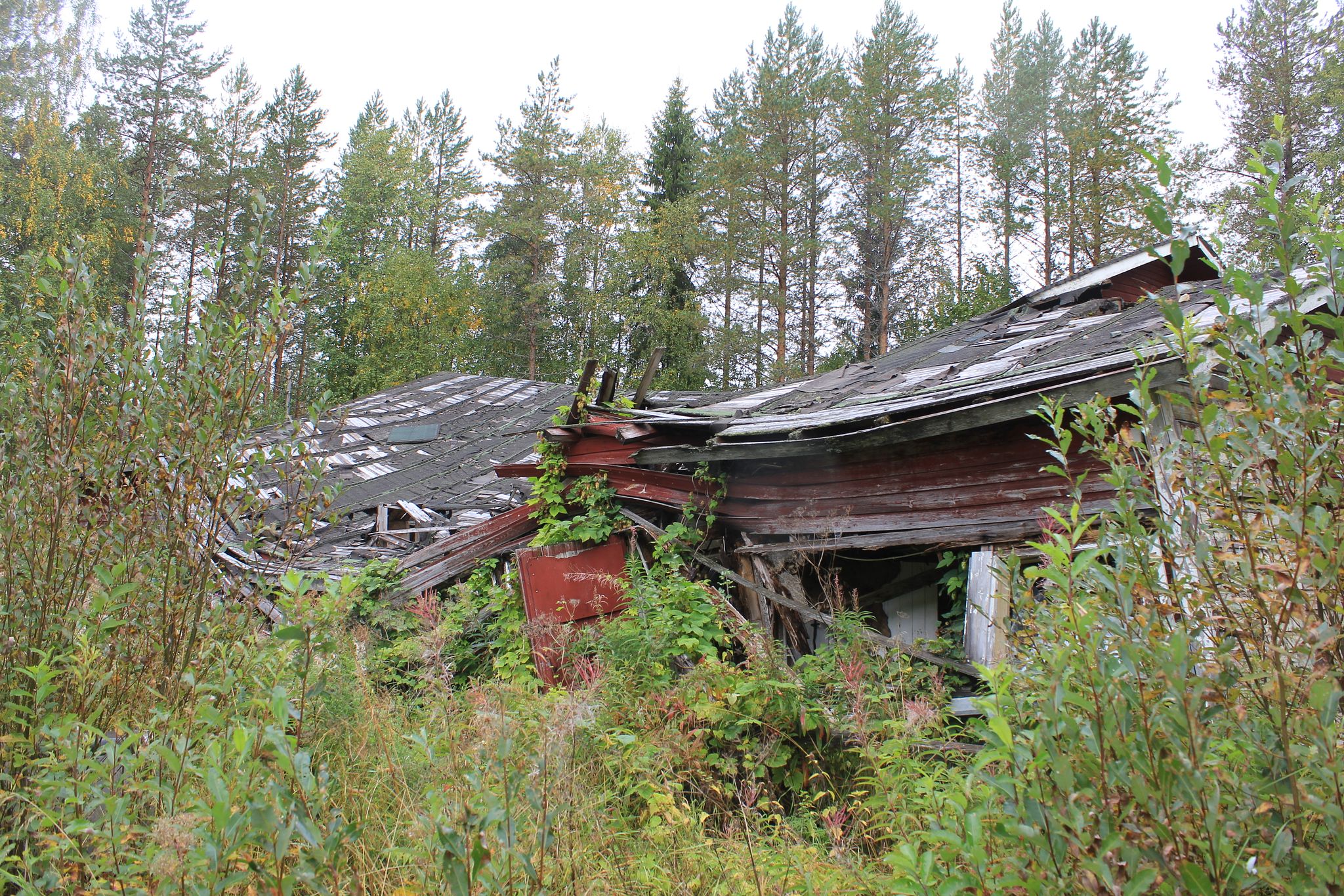 Image 18/20