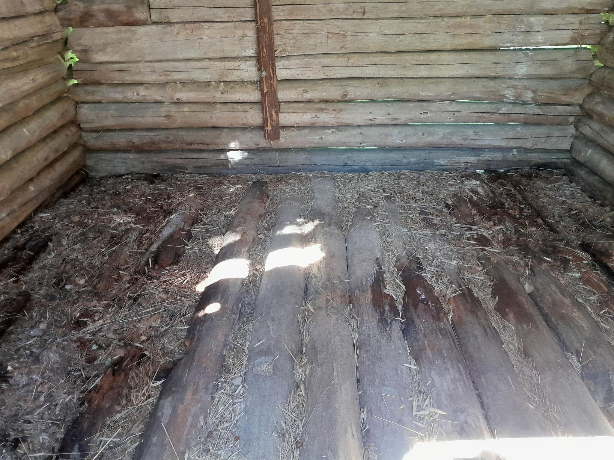 Image 8/8