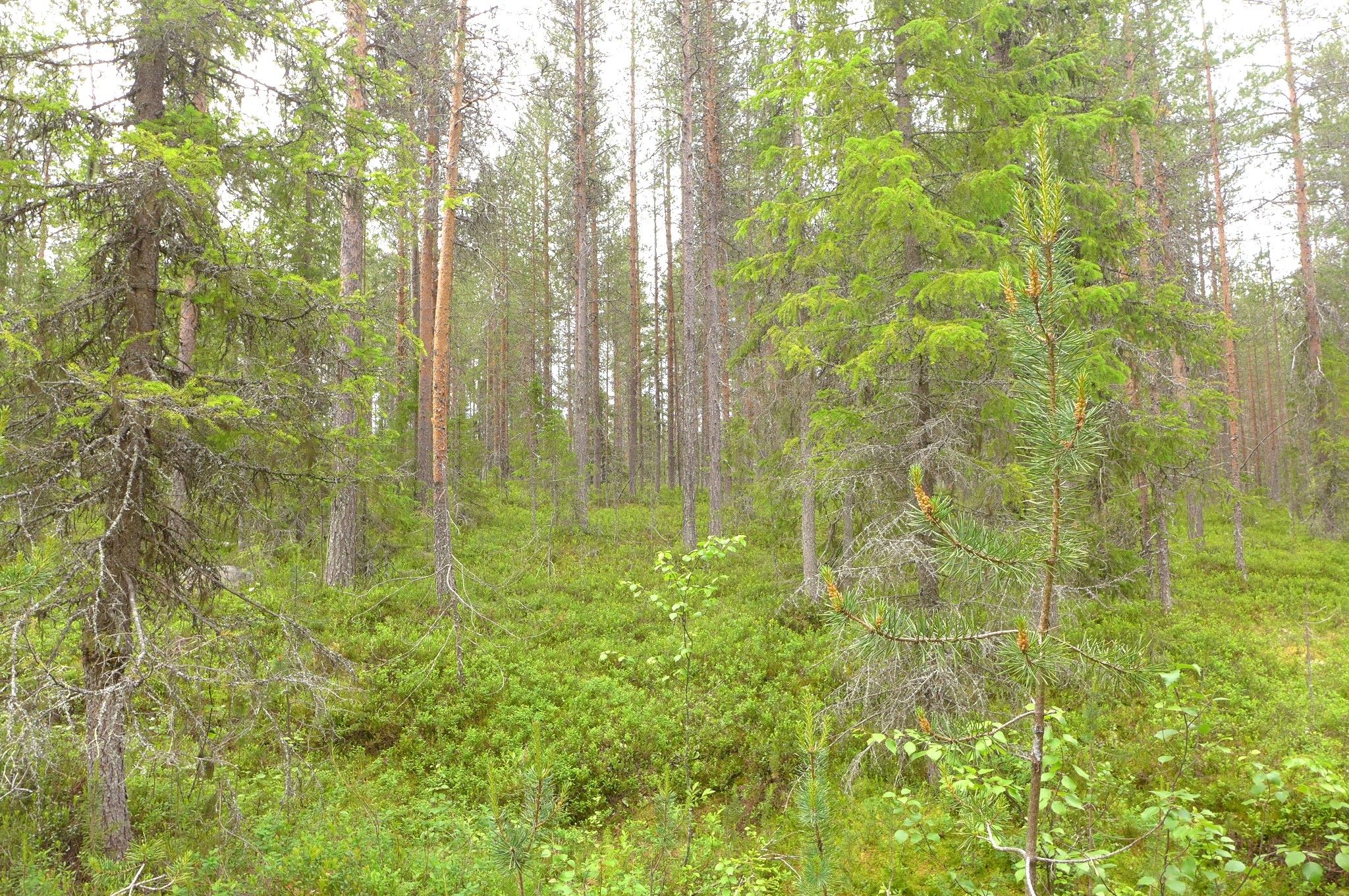 Image 48/51