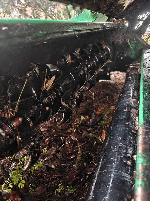 Image 8/8
