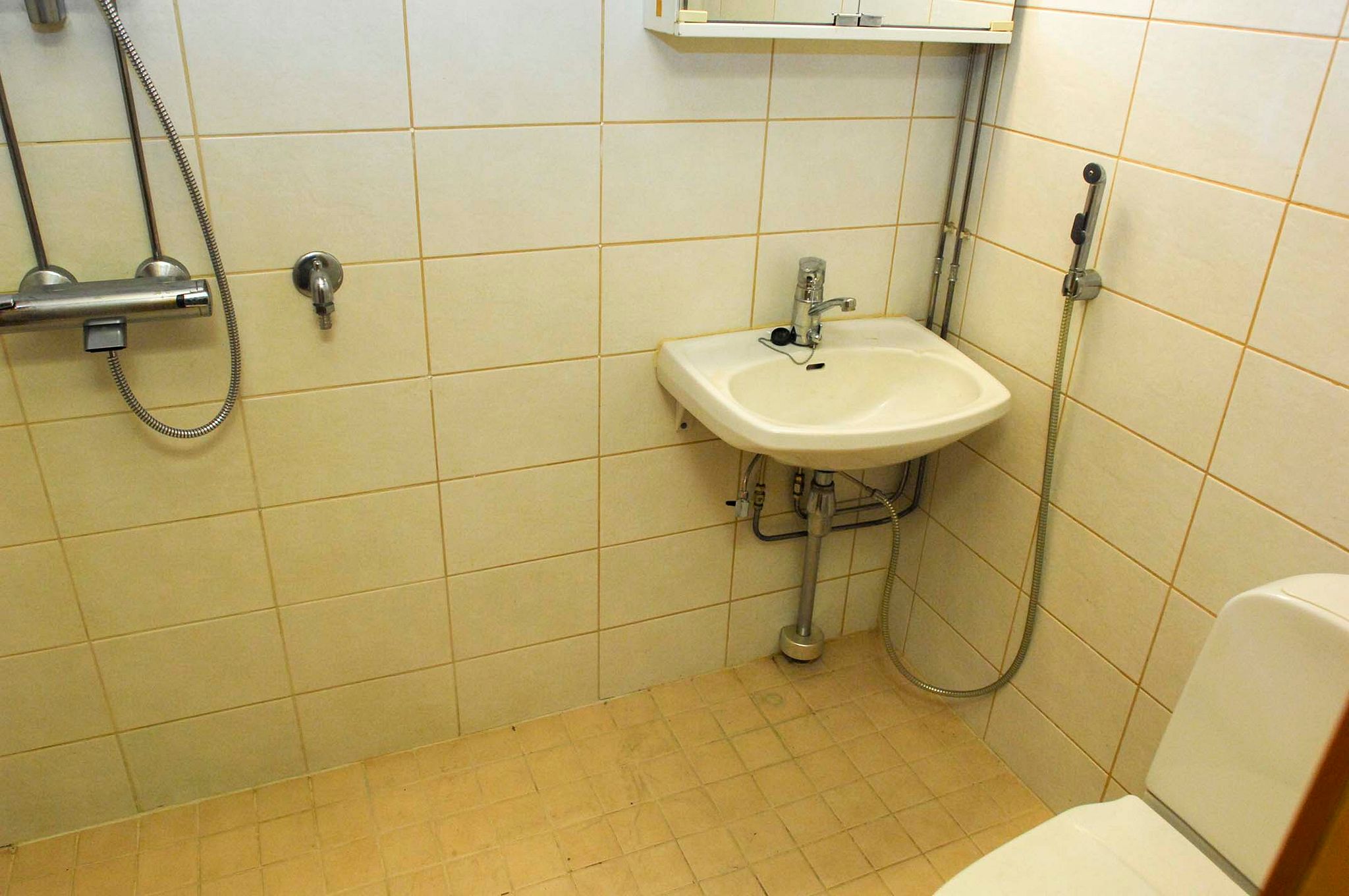 Image 7/12
