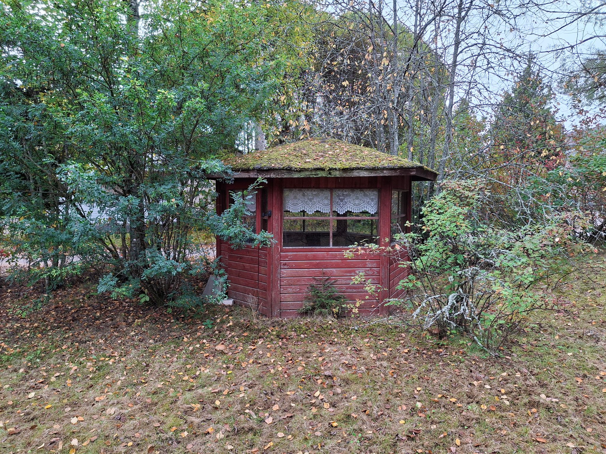 Image 6/23