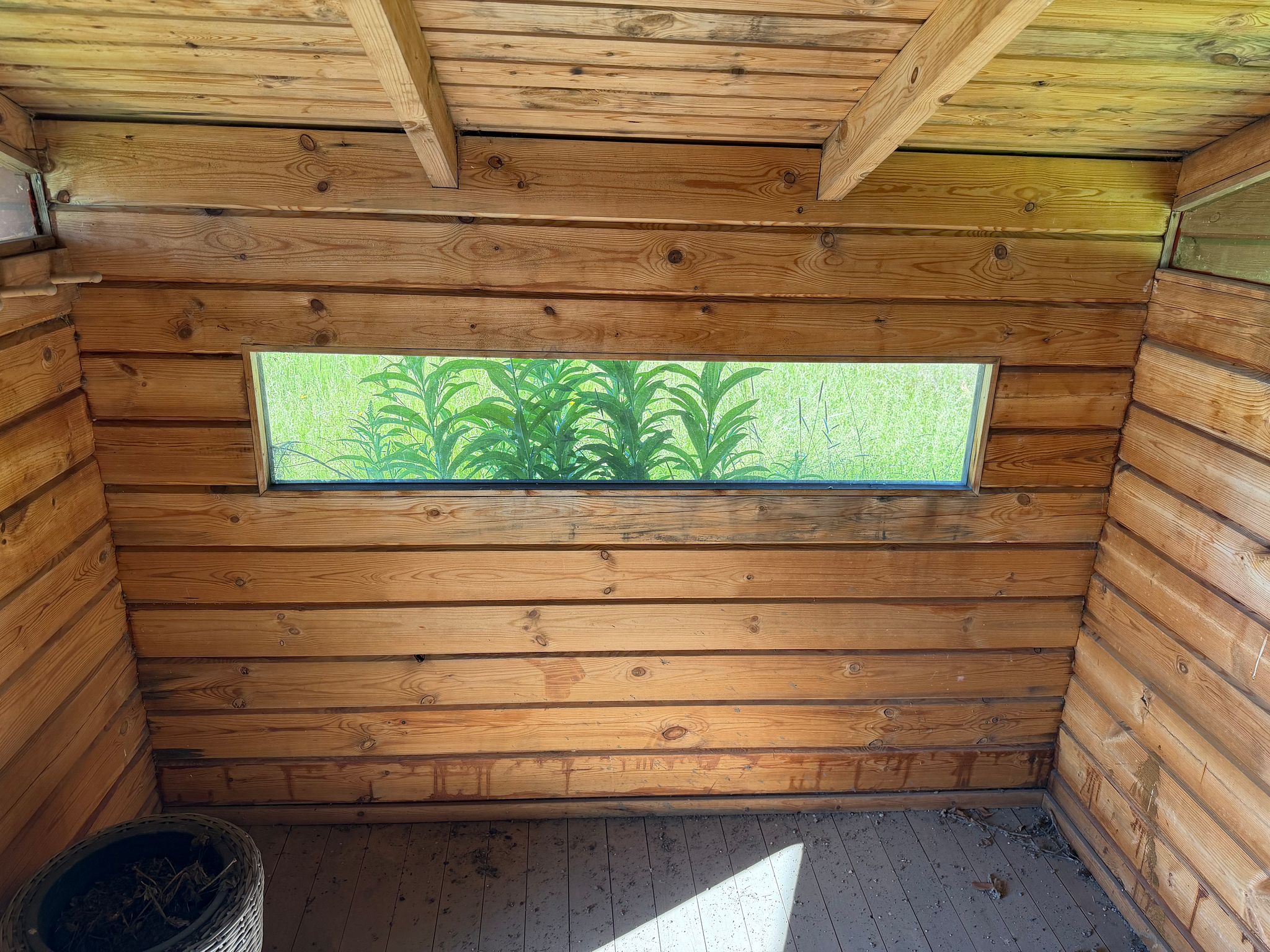 Image 20/30