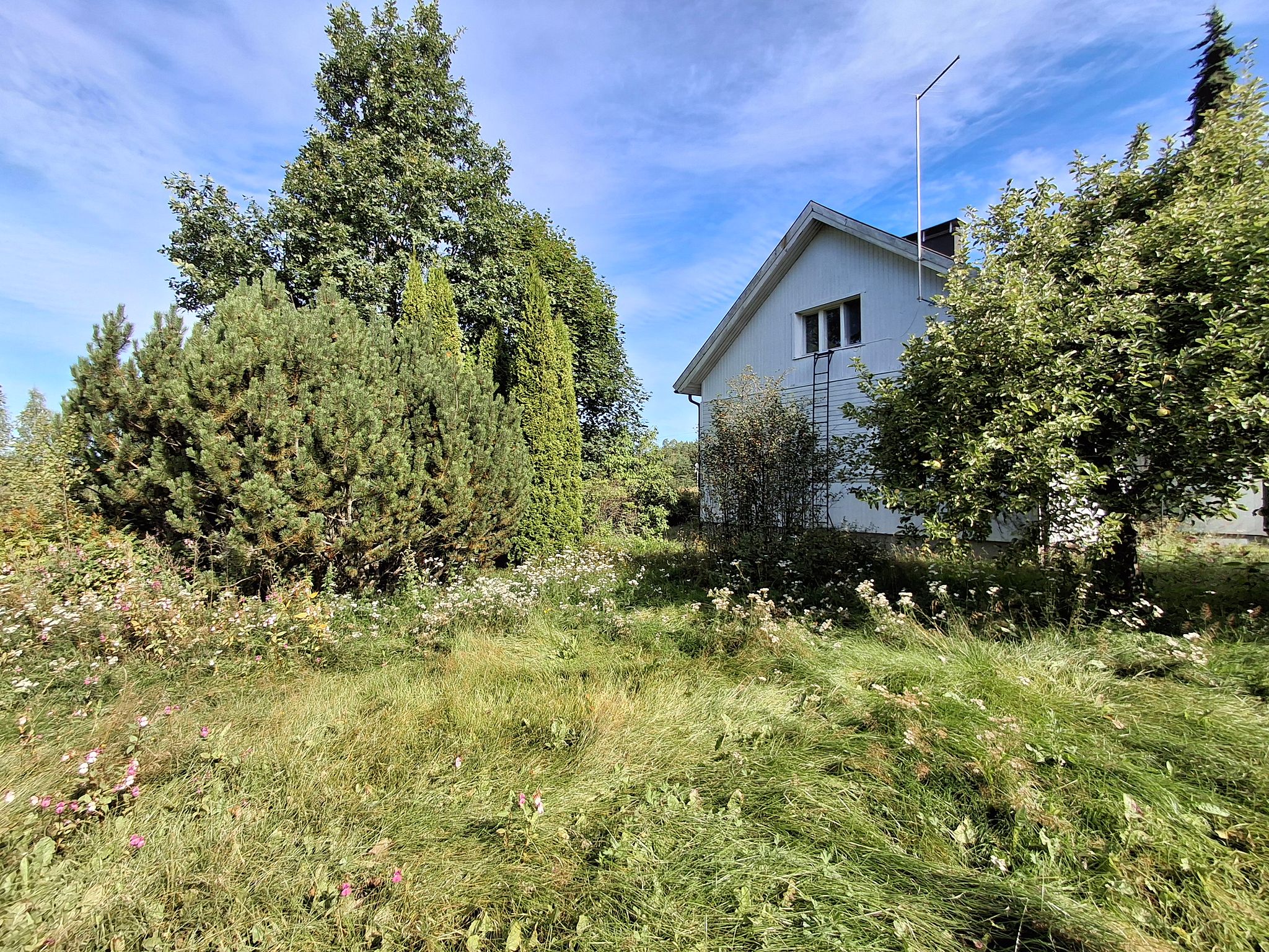 Image 64/67