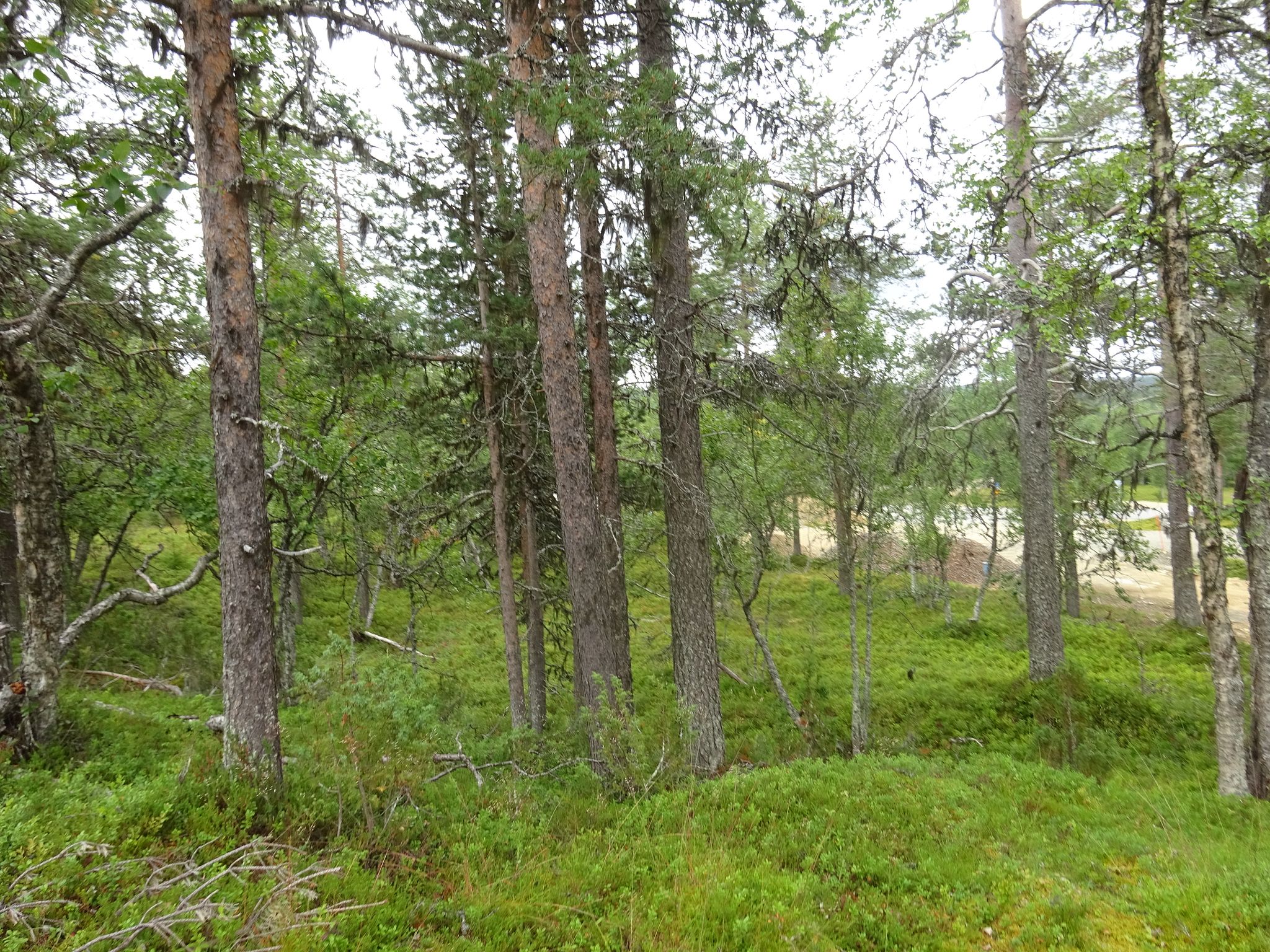 Image 1/9