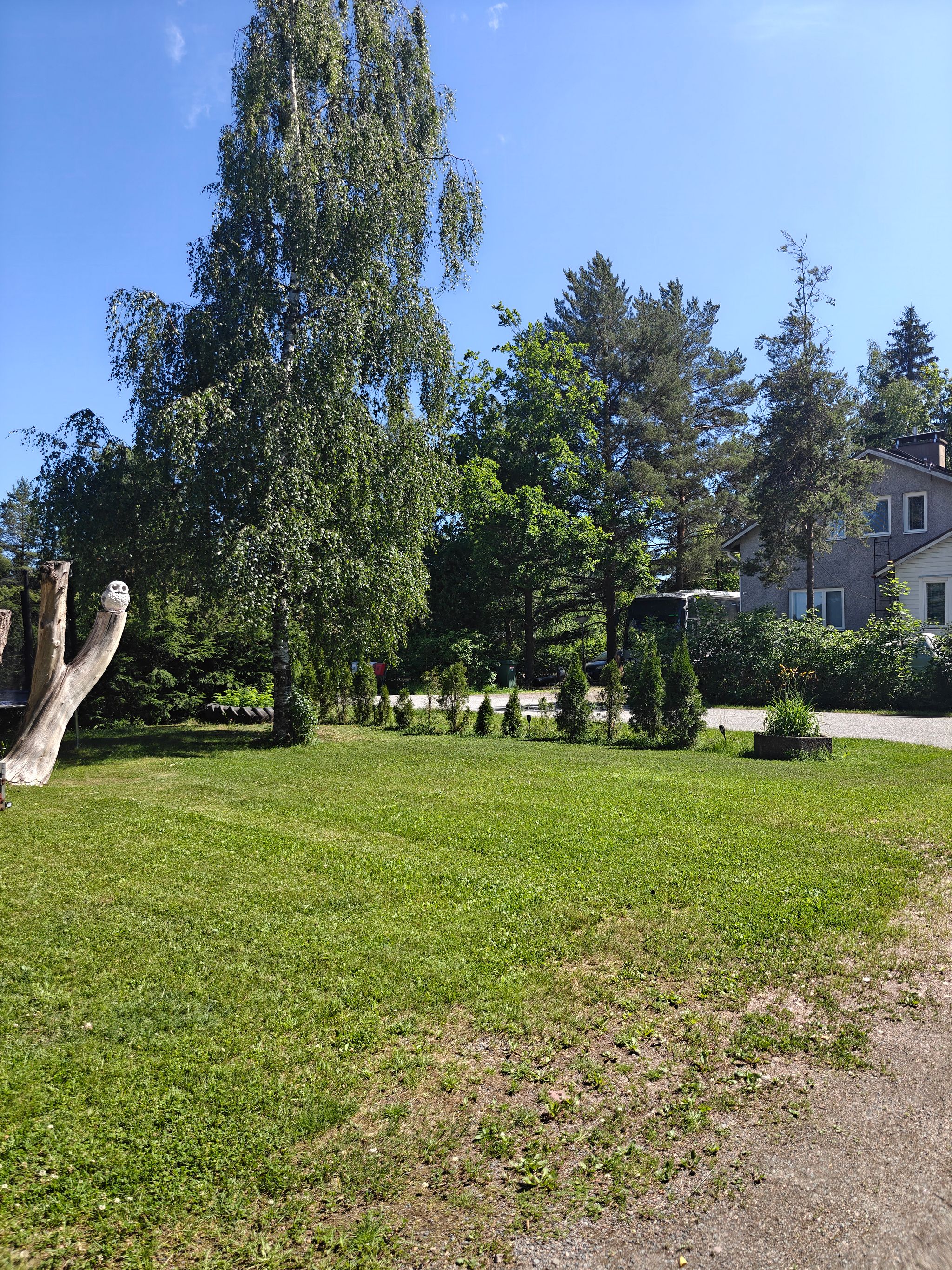 Image 7/49