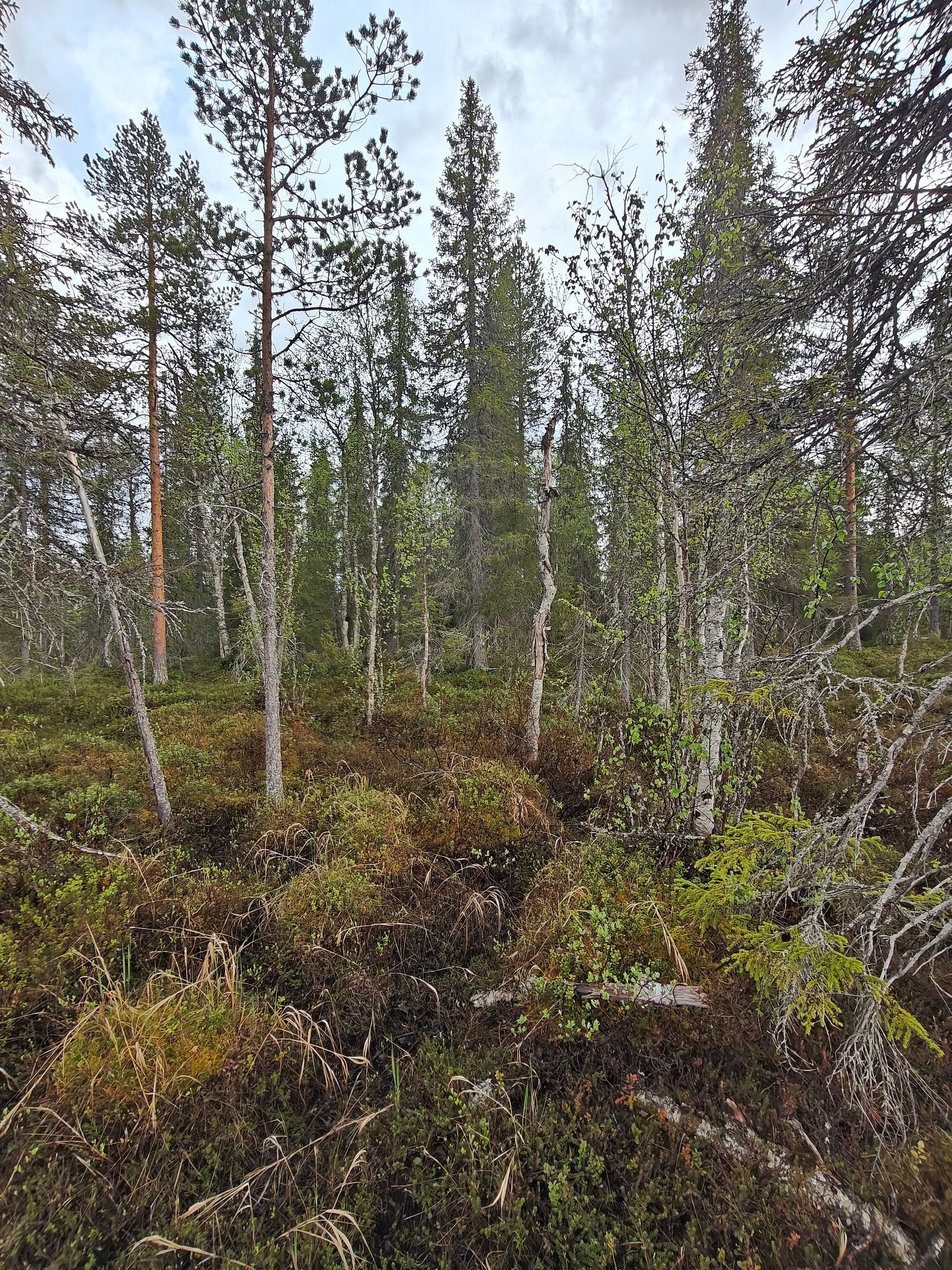 Image 3/15