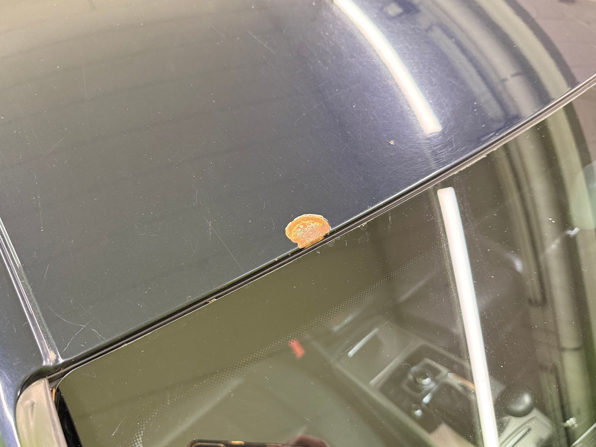 Kuva 44/59