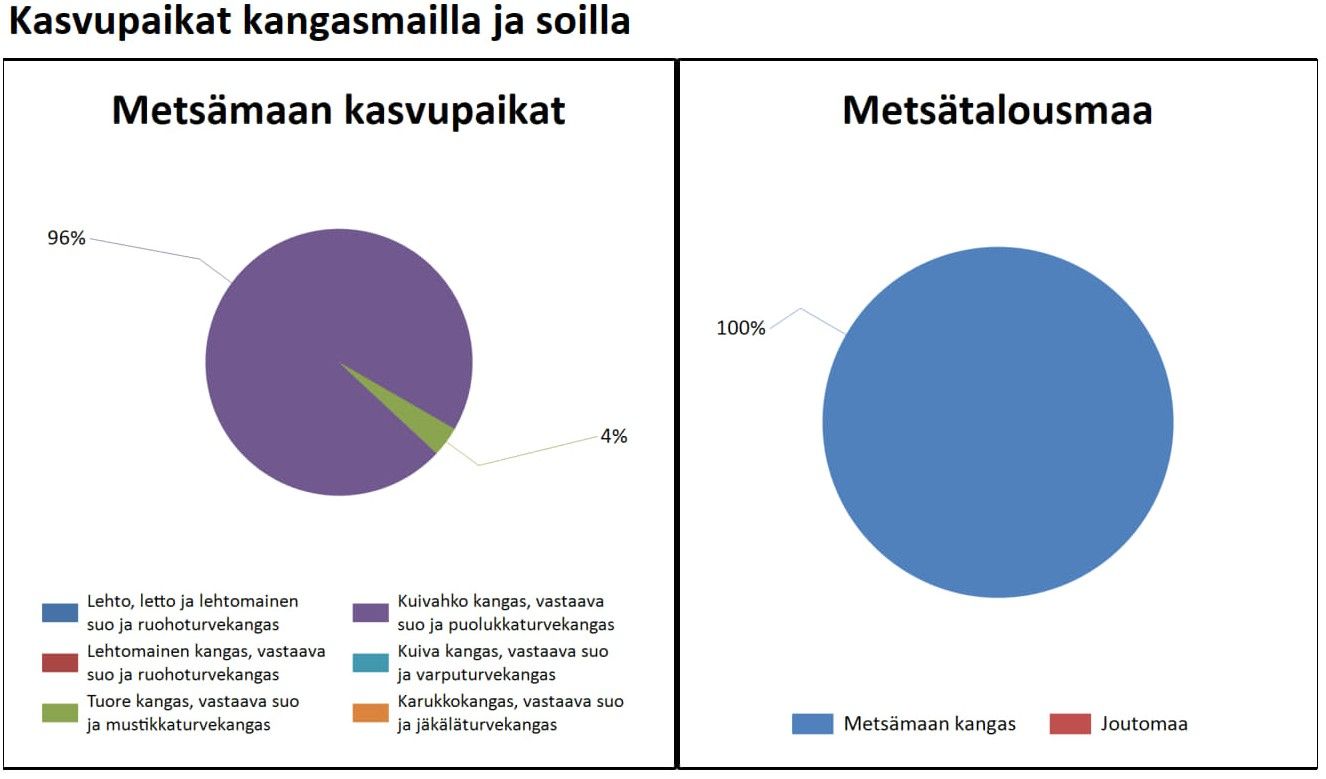 Kuva 7/10