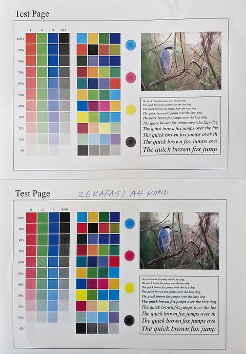 Image 8/8