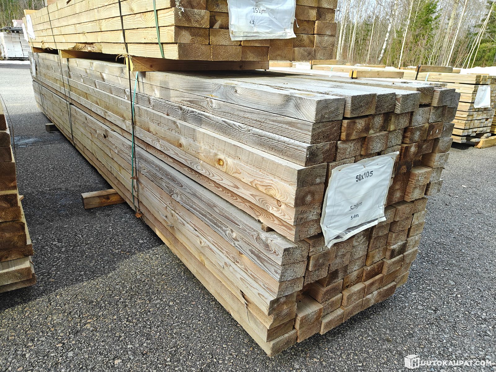 painekyll-stetty-50x100-1-nippu-529-jm-rantasalmi-huutokaupat