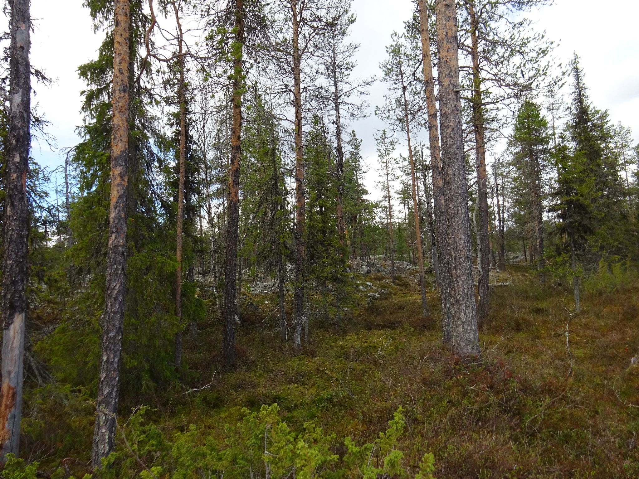 Image 16/17
