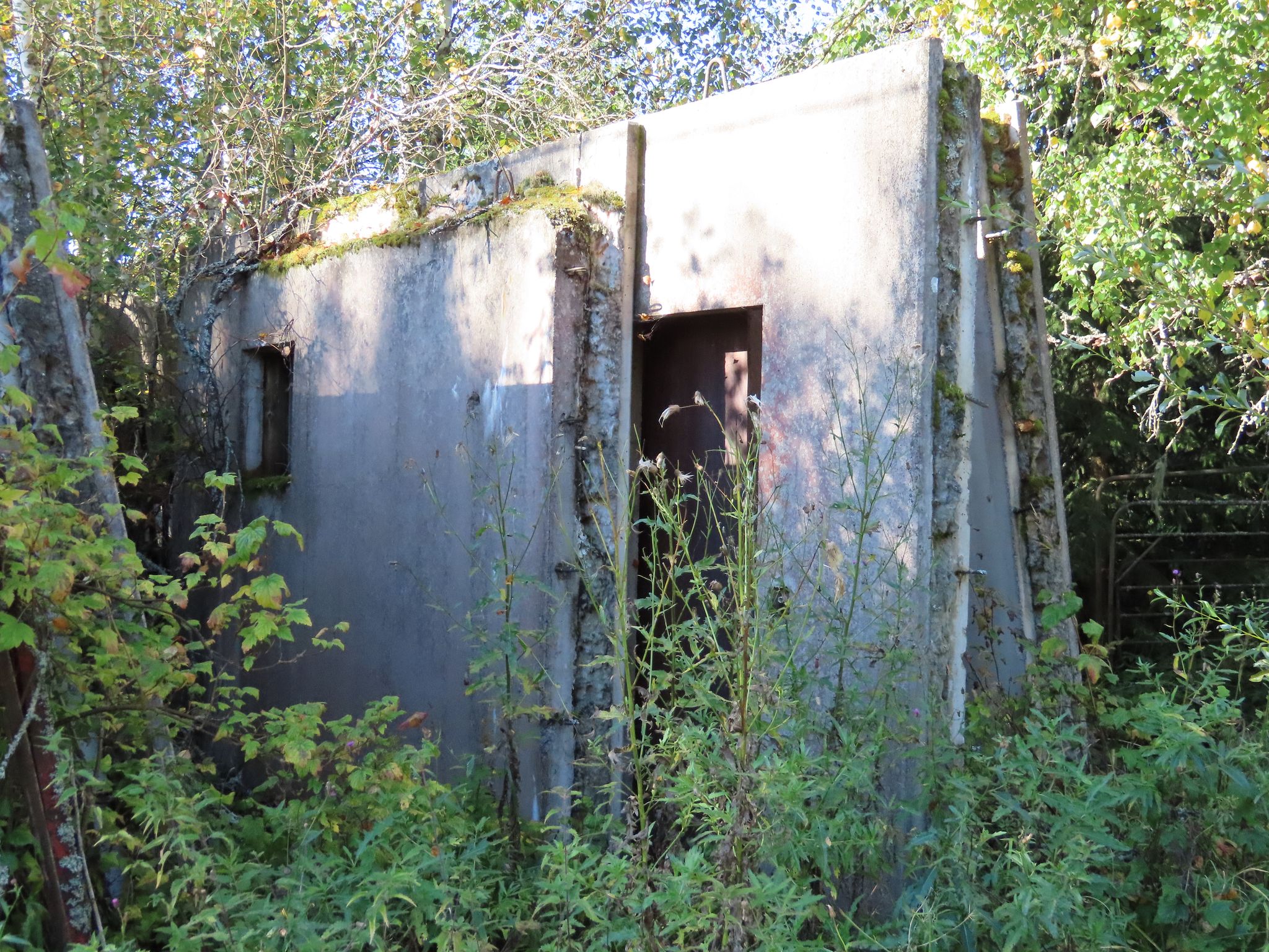 Image 1/11