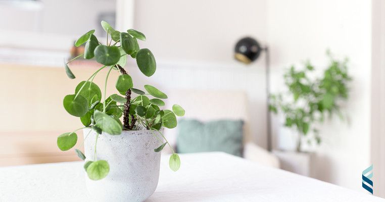 Korhonen Oy Tili- ja kiinteistötoimisto (SKVL jäsen) kuva