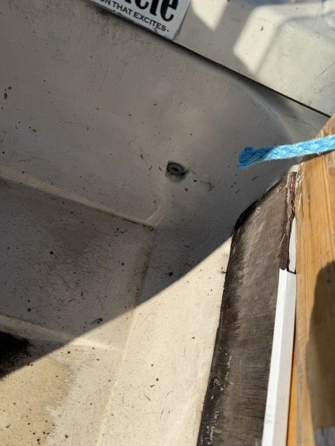 Image 9/10
