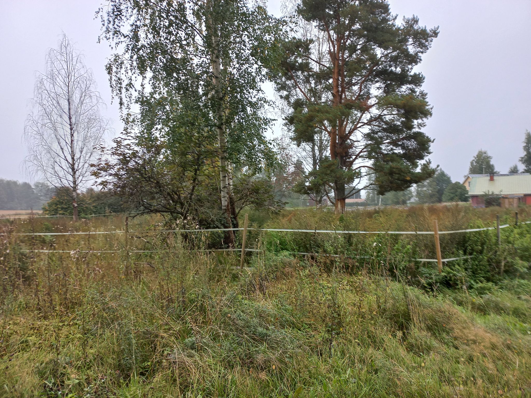 Image 57/57