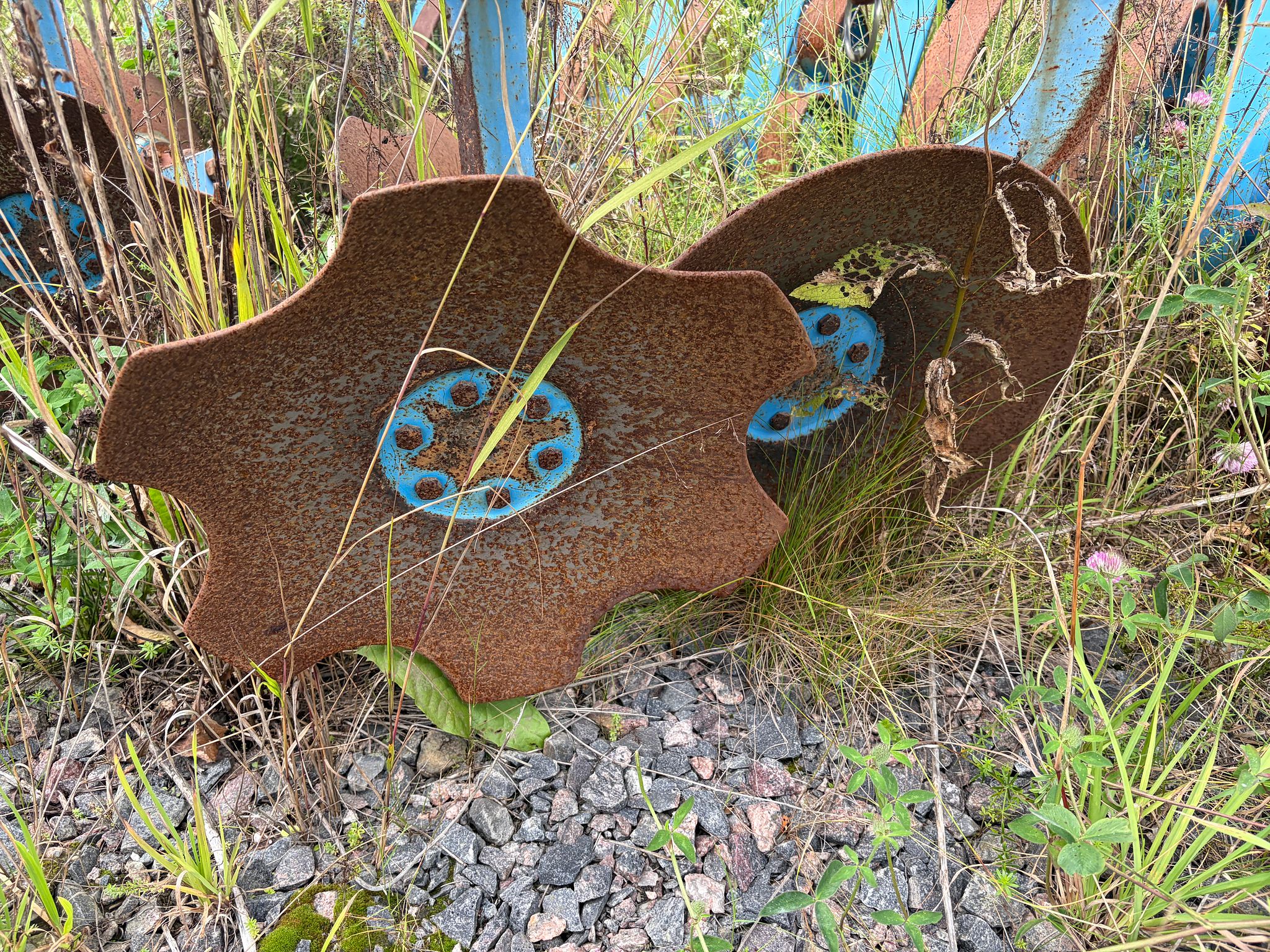 Image 8/12