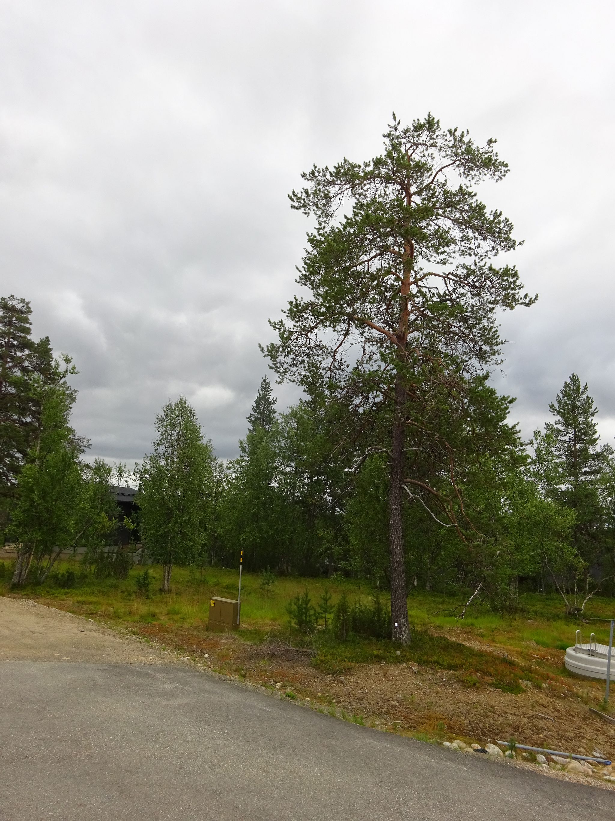 Image 1/9