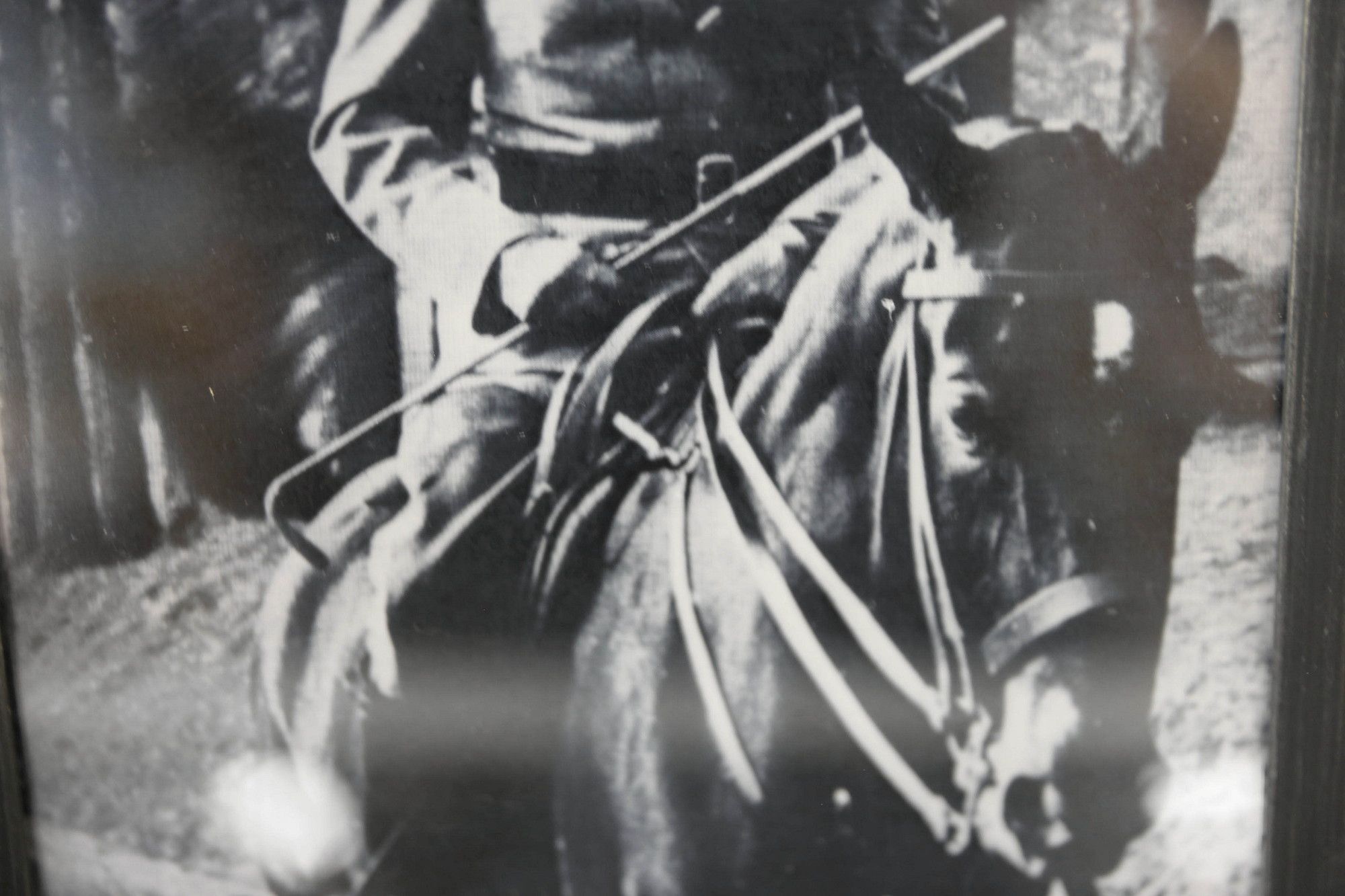 Image 7/15