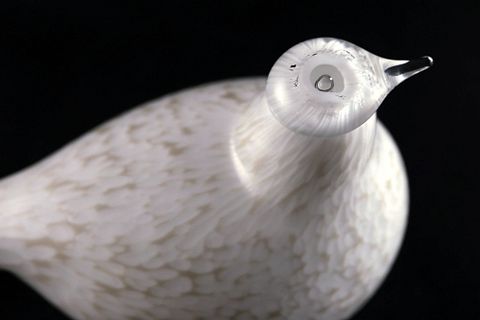 Image 11/17