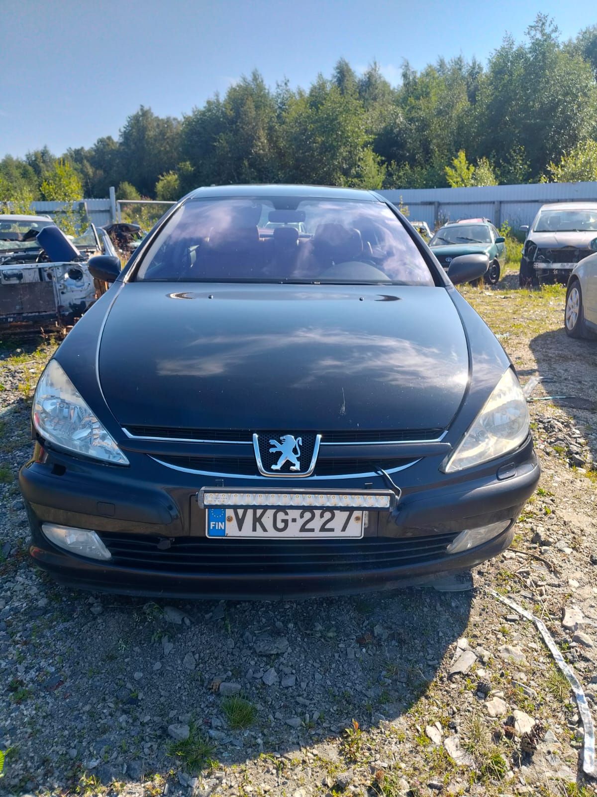 Image 1/11