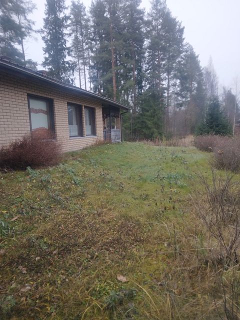 Image 10/37