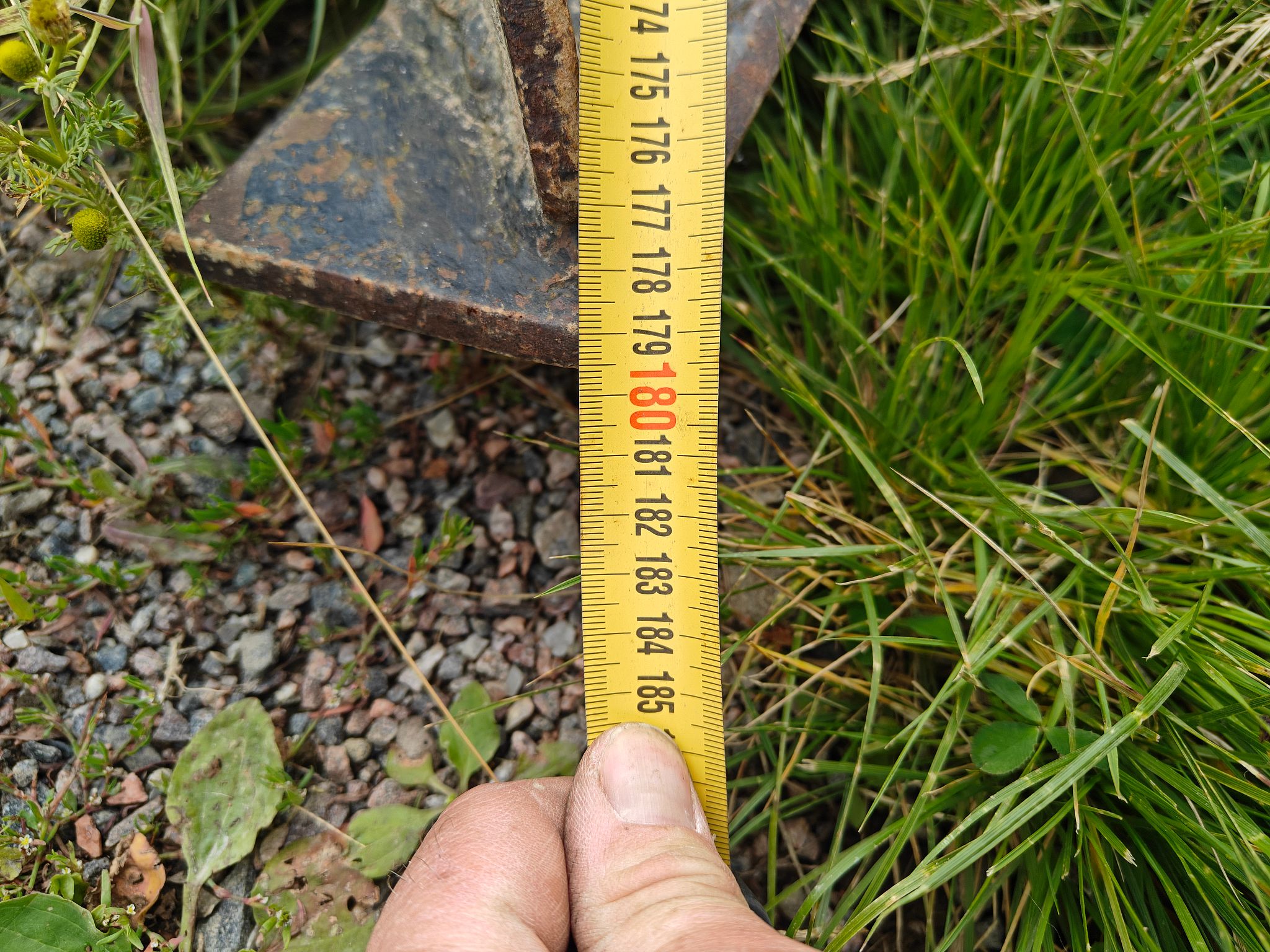 Image 2/7