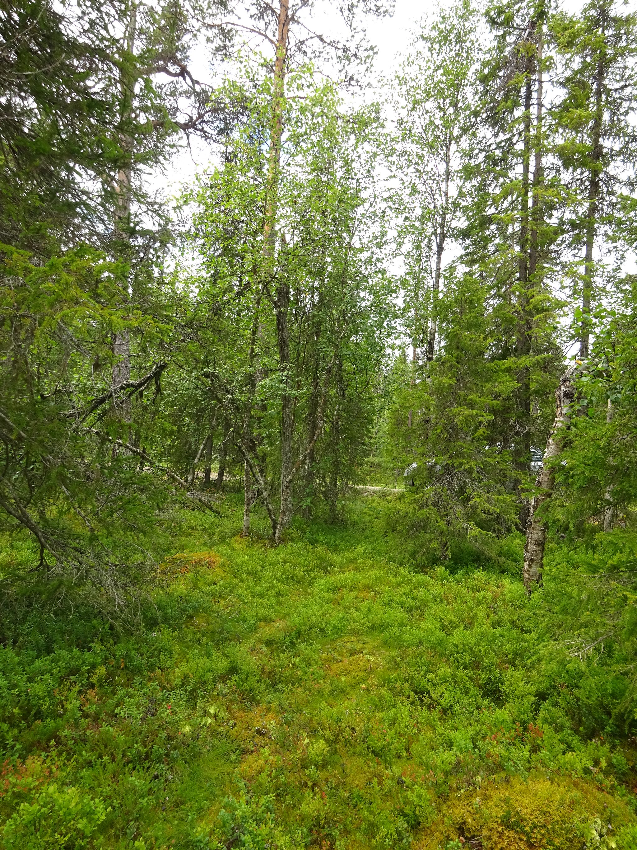 Image 11/11